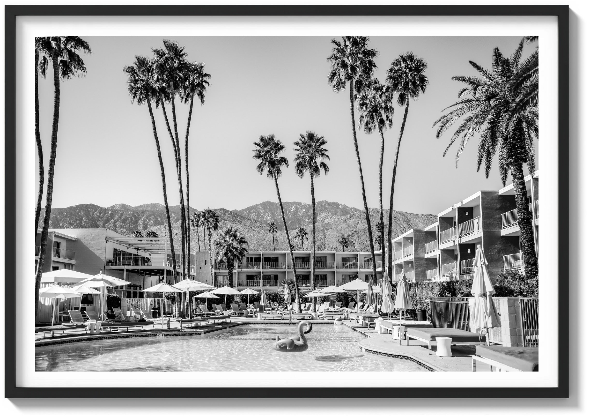 The Saguaro