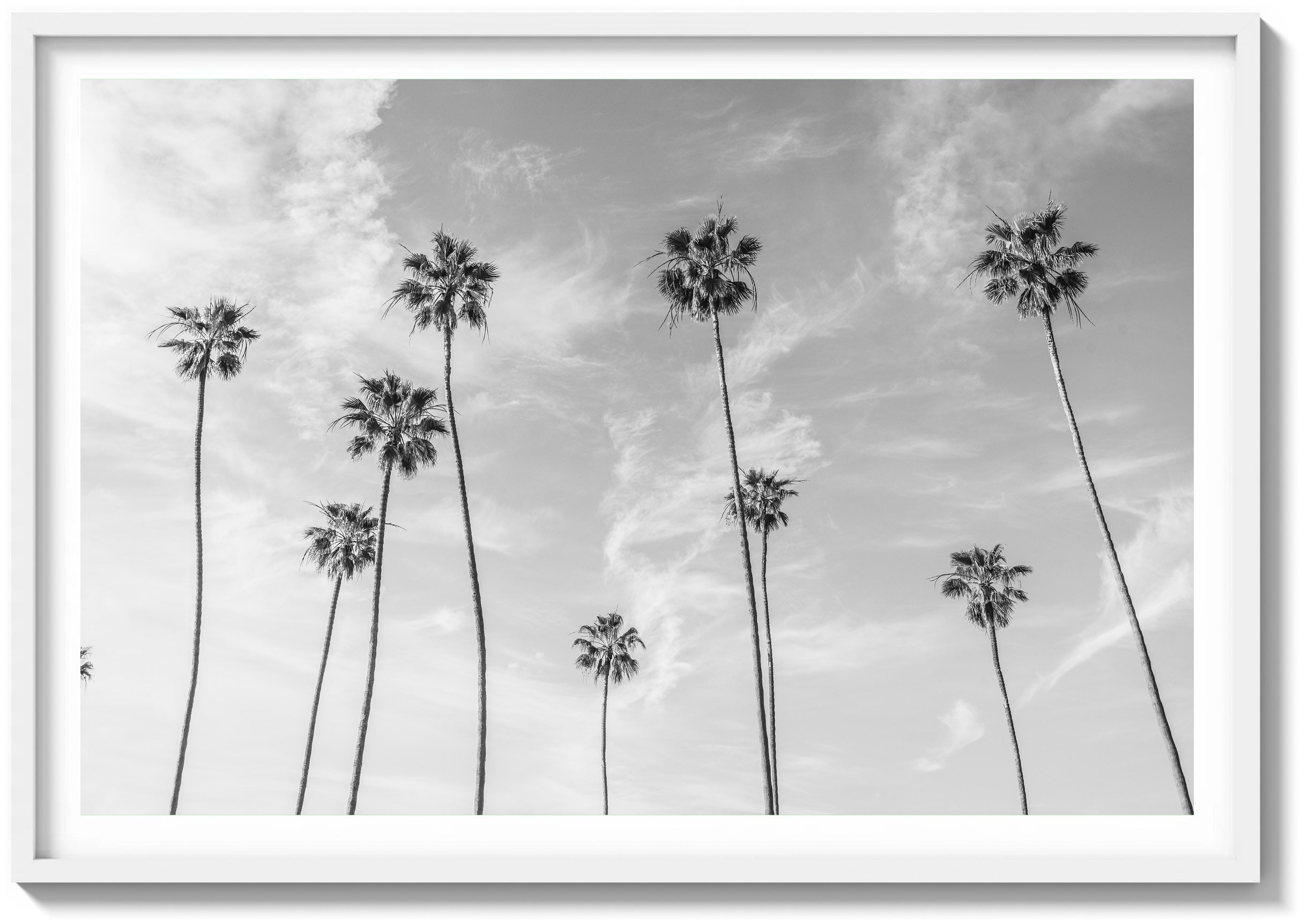 Reach For The Sky