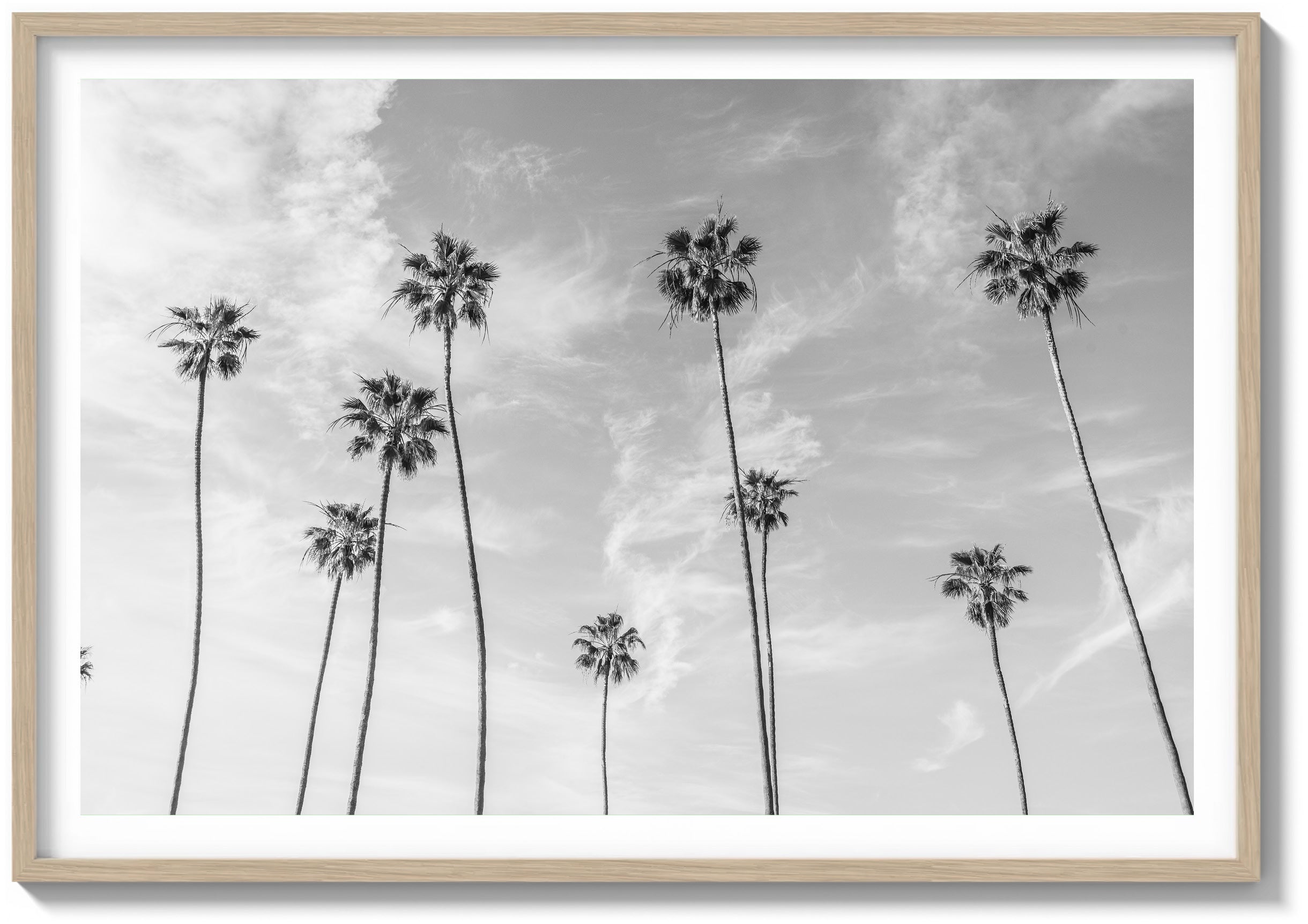 Reach For The Sky