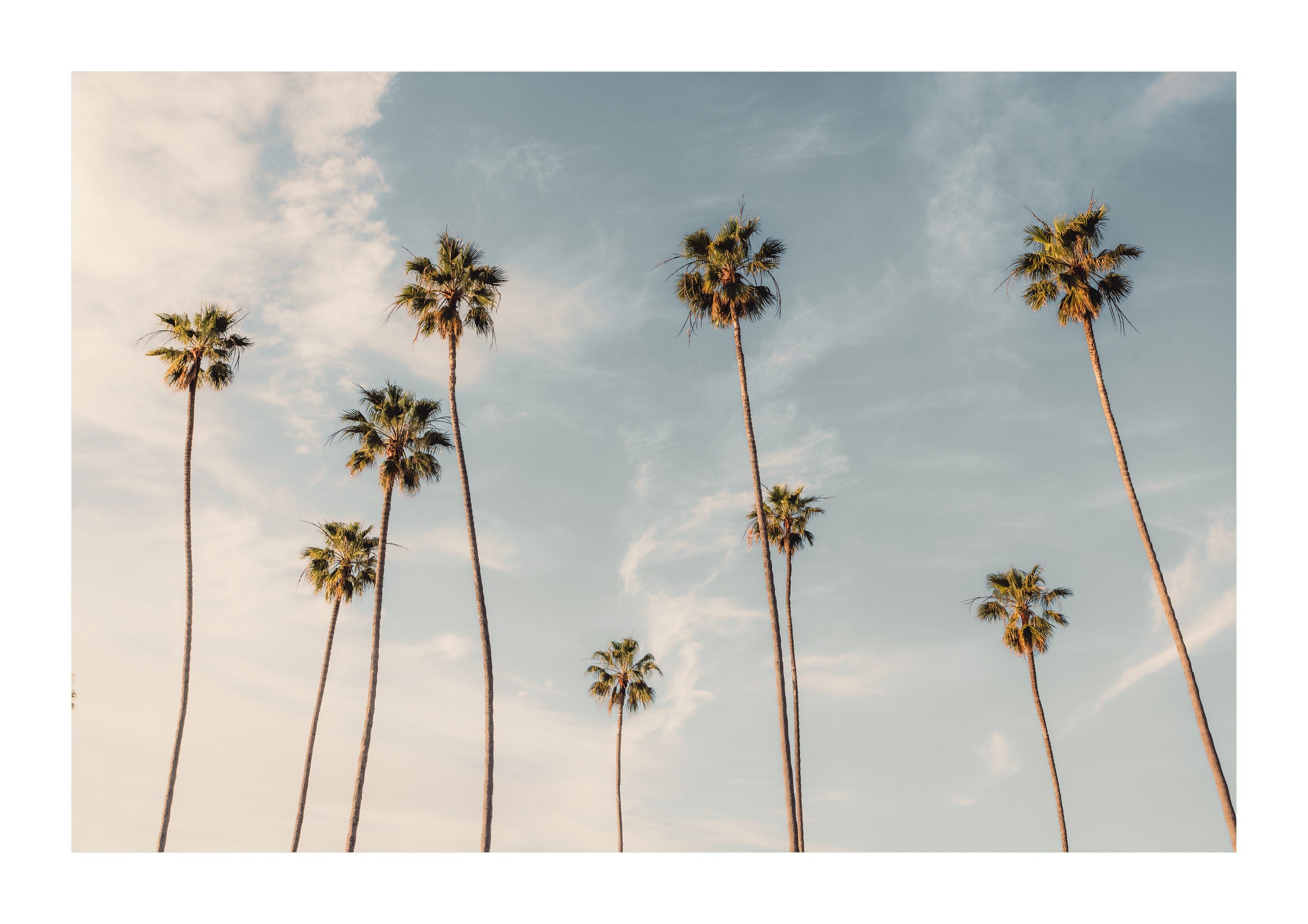Reach For The Sky