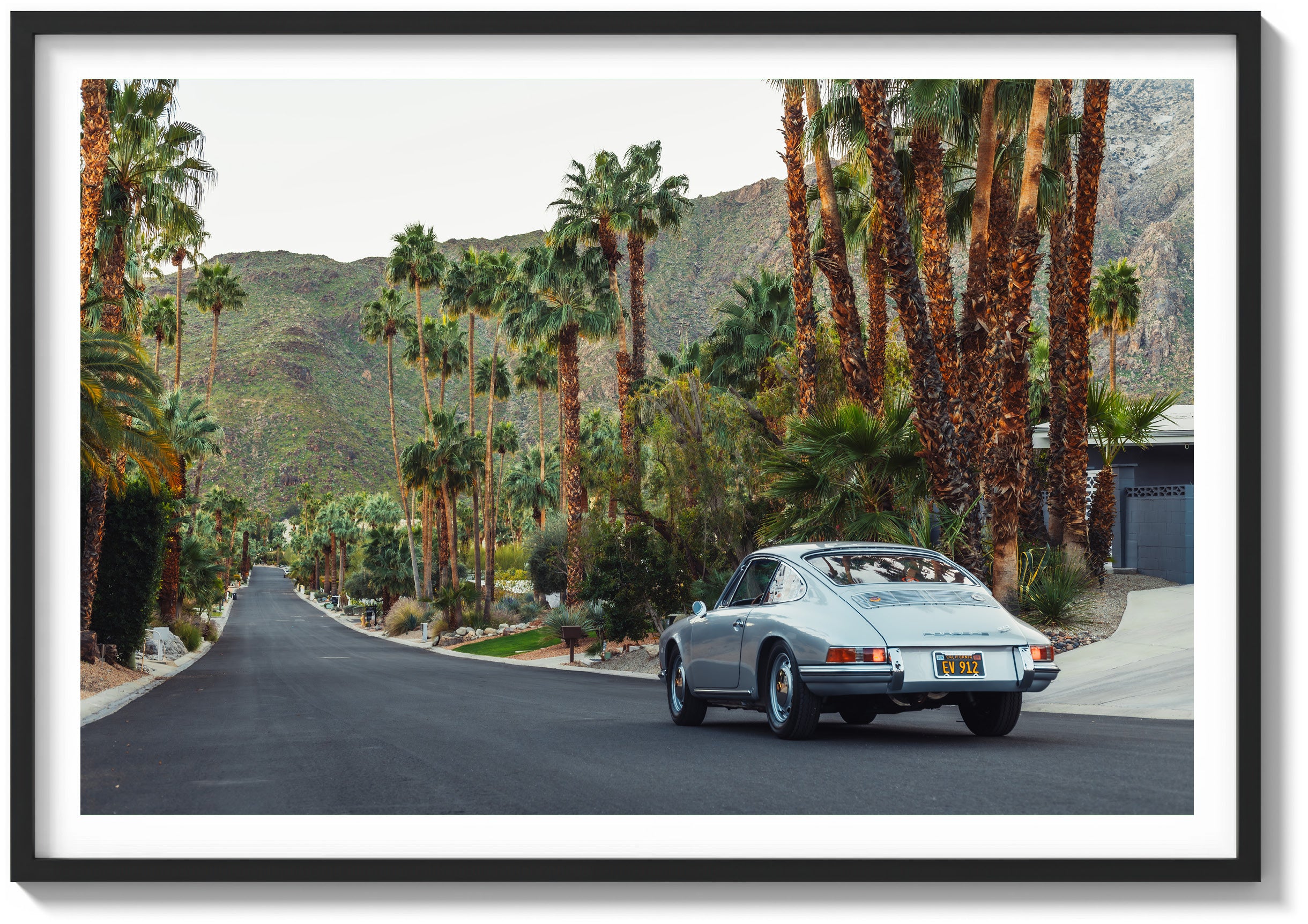Palm Springs Charge