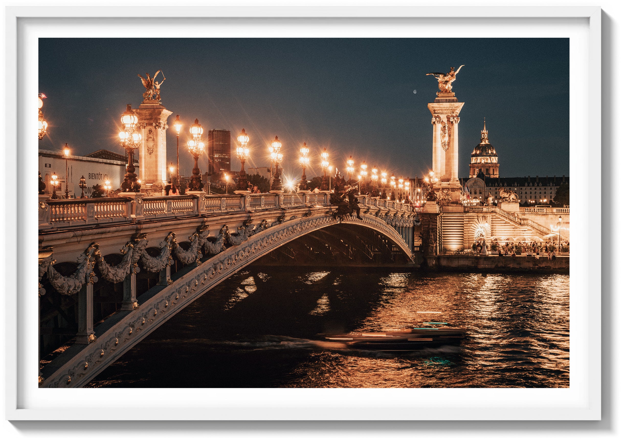 Ponte Alexandre & The Seine