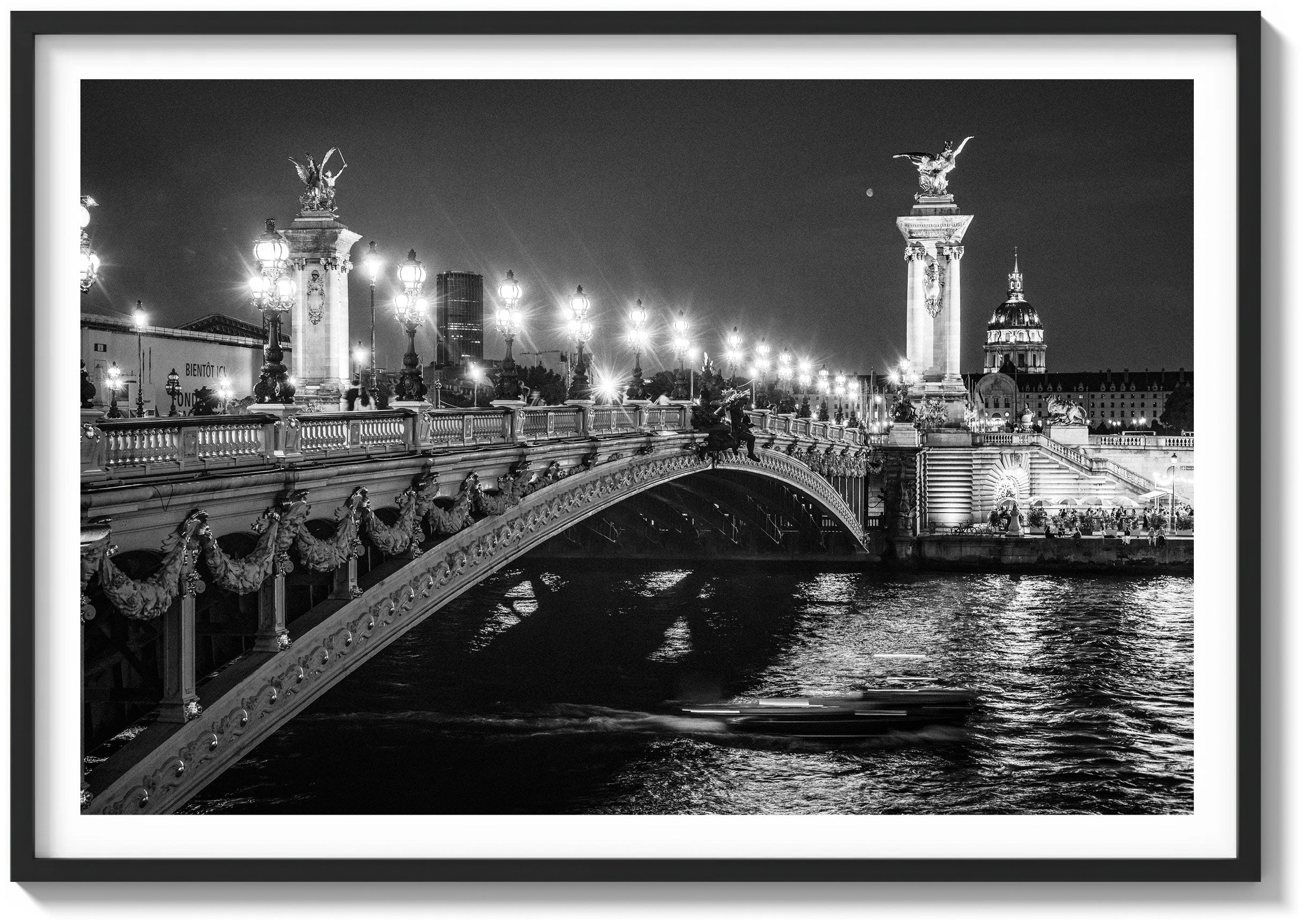 Ponte Alexandre & The Seine