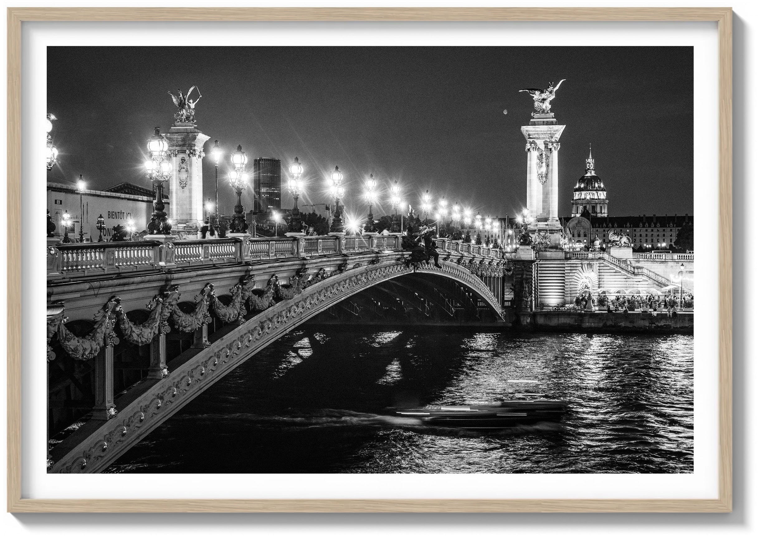 Ponte Alexandre & The Seine