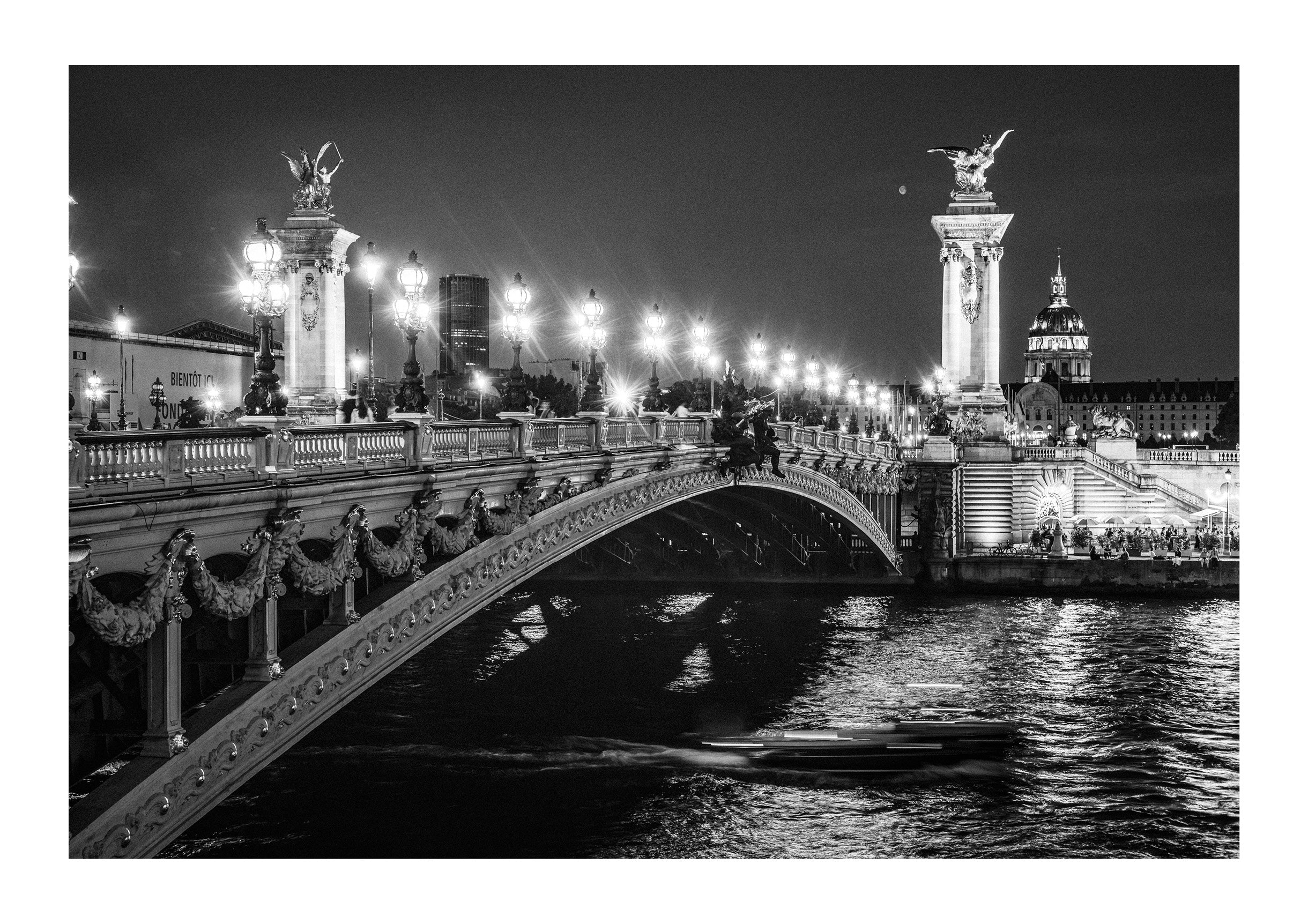 Ponte Alexandre & The Seine