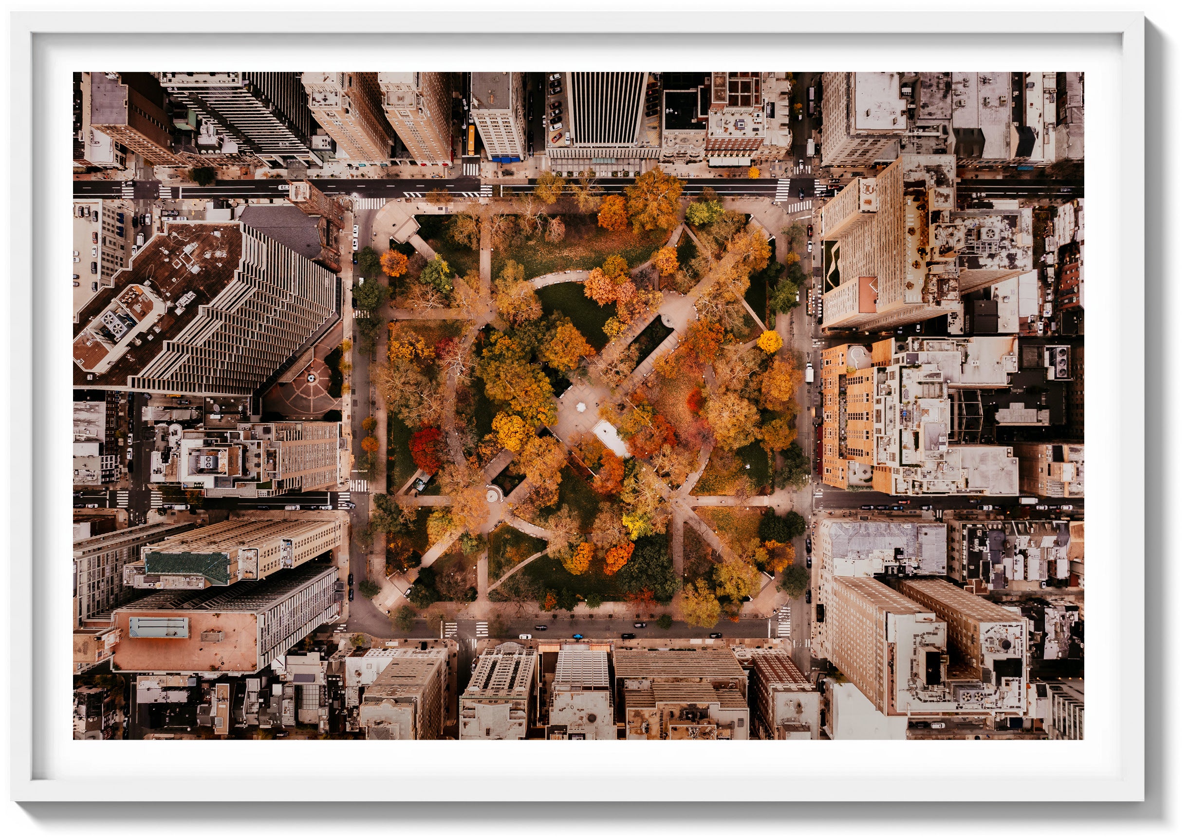 Rittenhouse in Autumn
