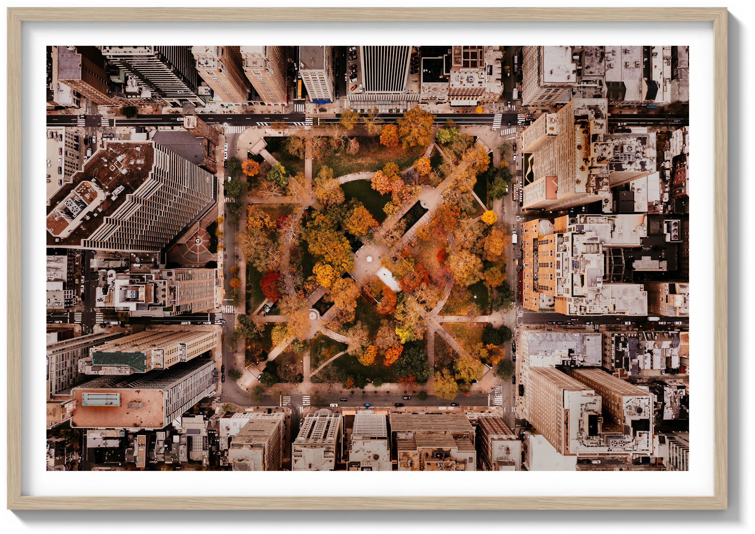 Rittenhouse in Autumn