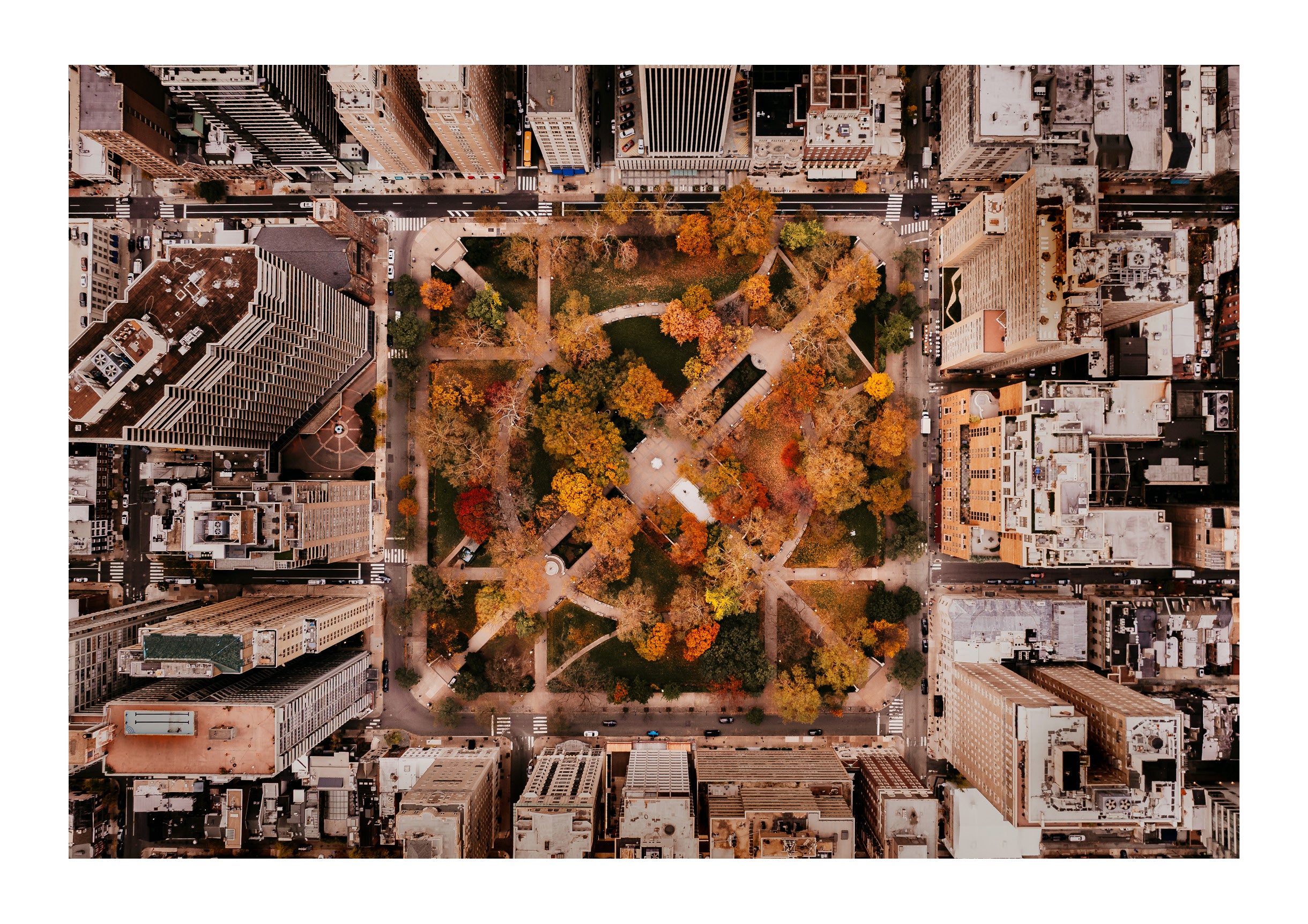 Rittenhouse in Autumn