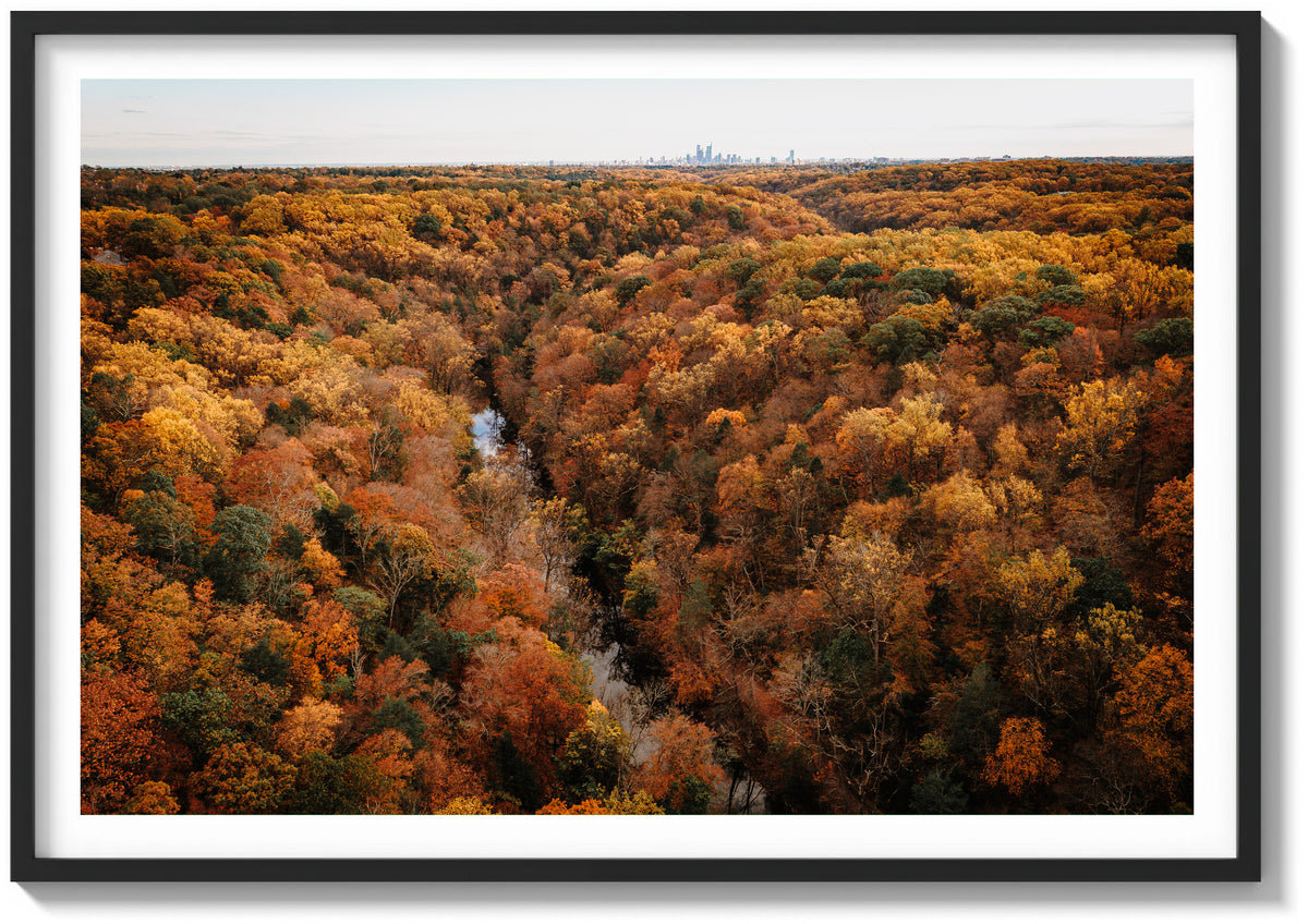 Wissahickon