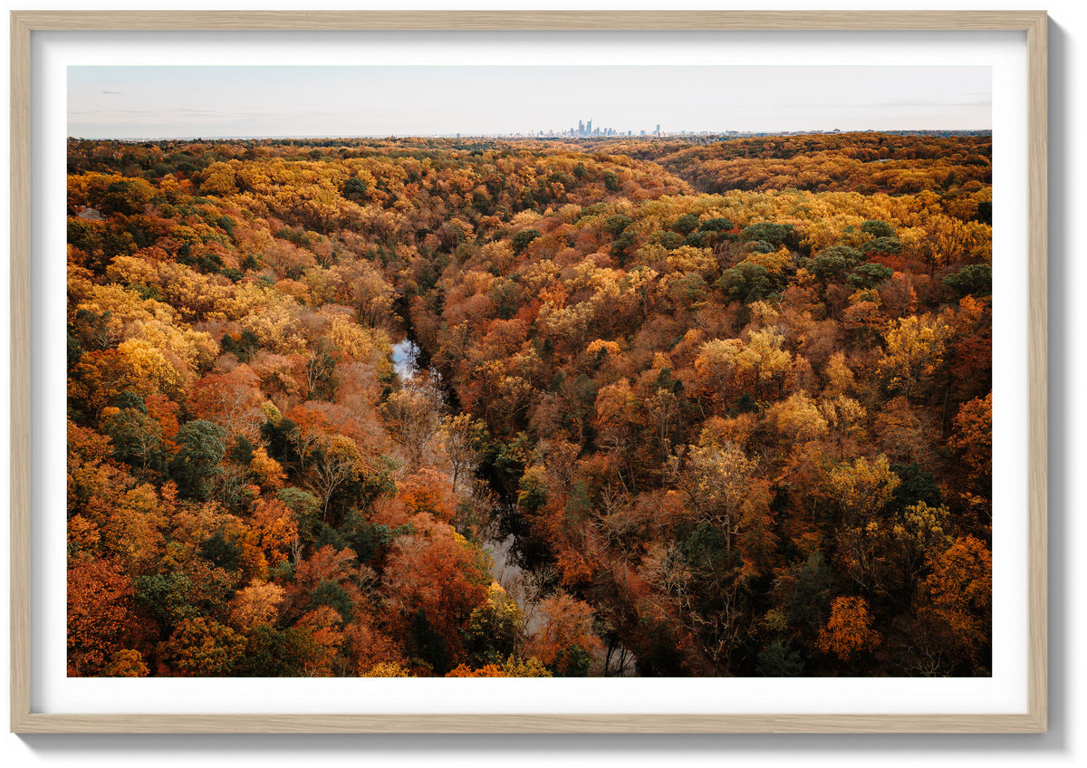 Wissahickon