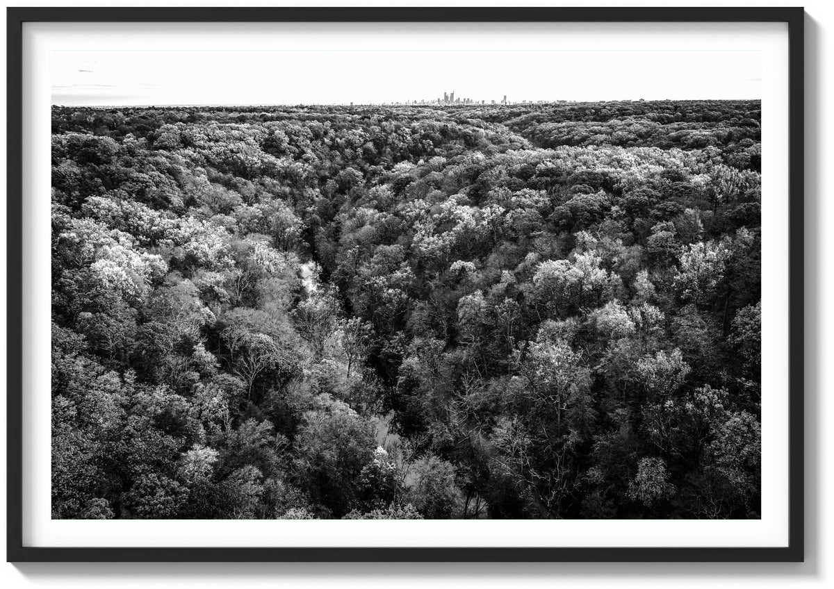 Wissahickon