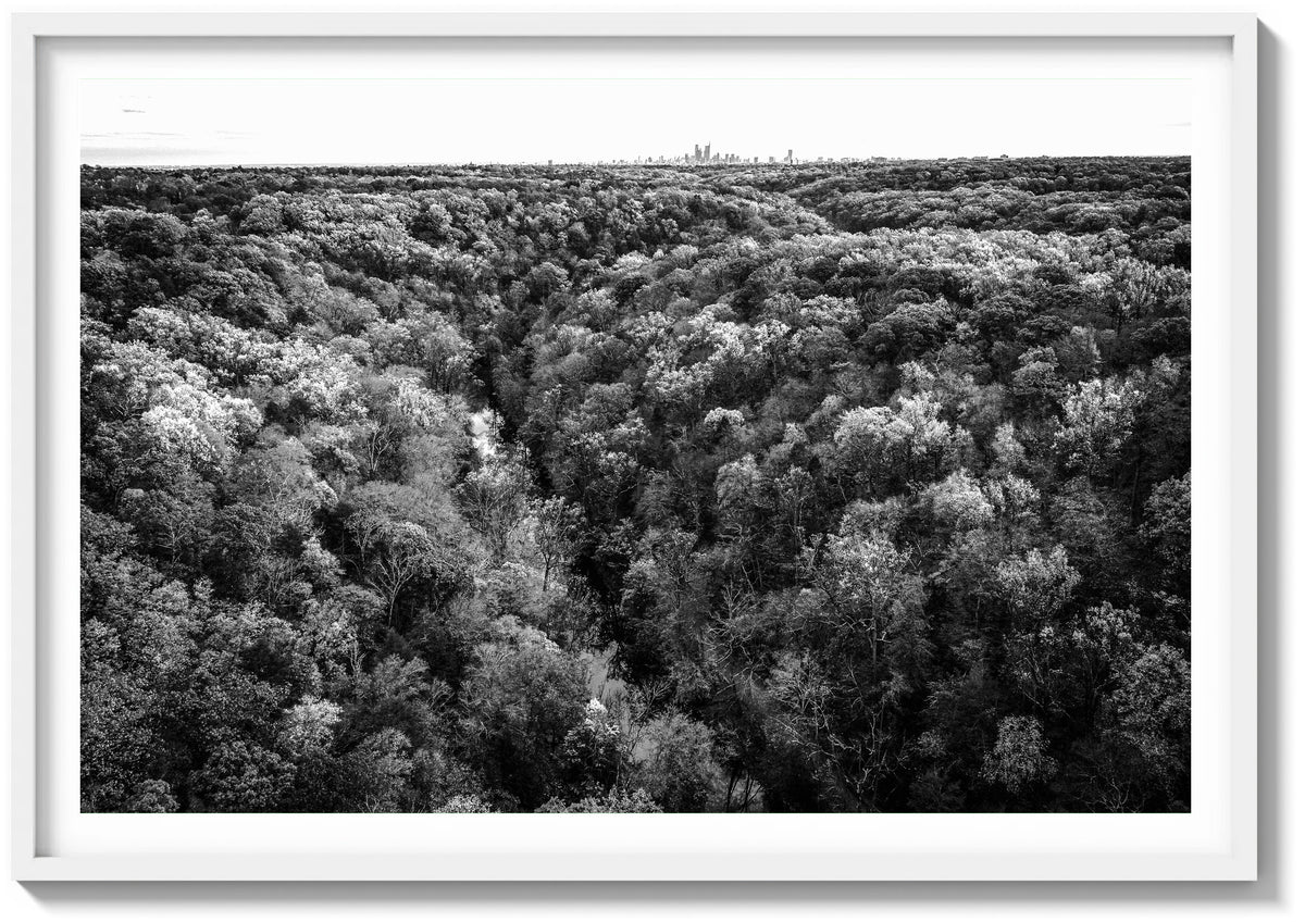 Wissahickon