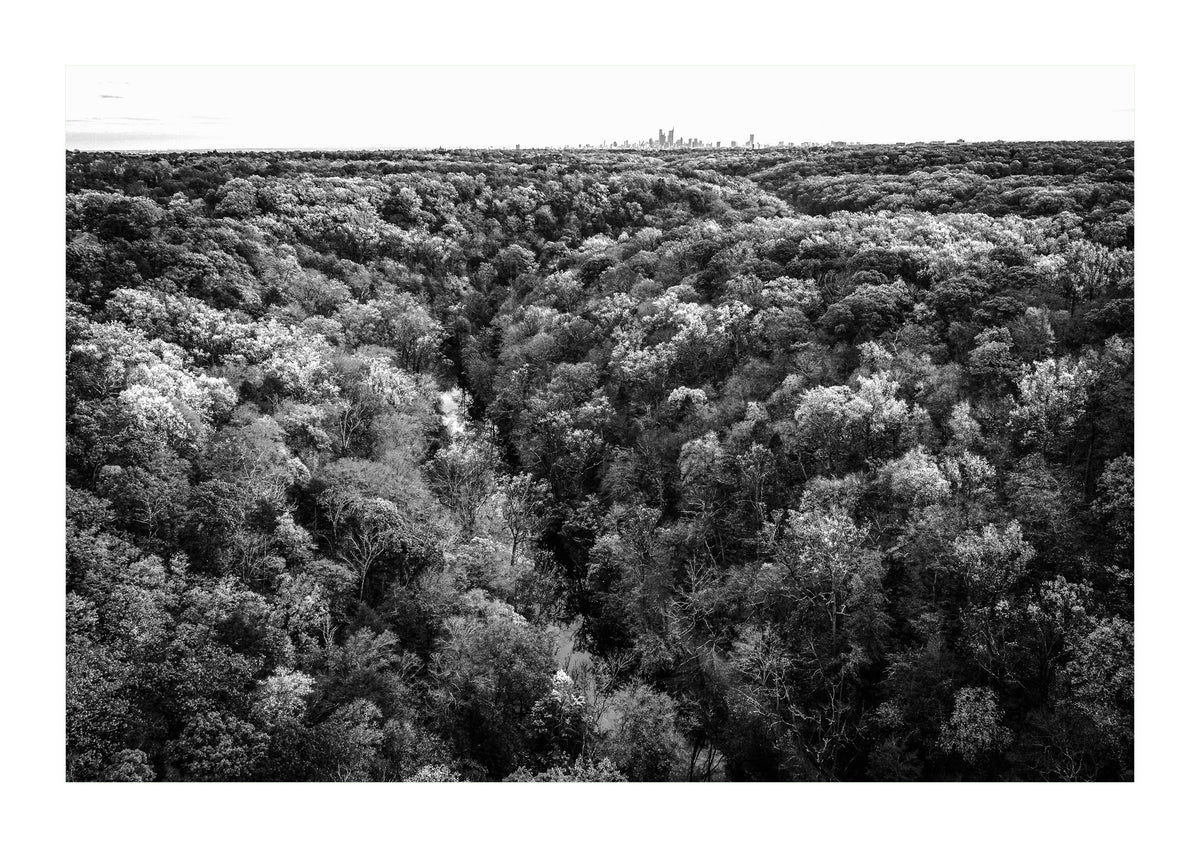 Wissahickon