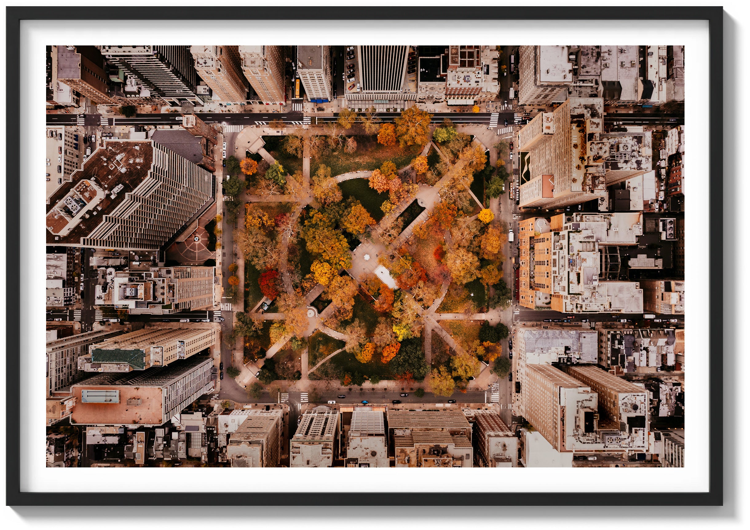 Rittenhouse in Autumn