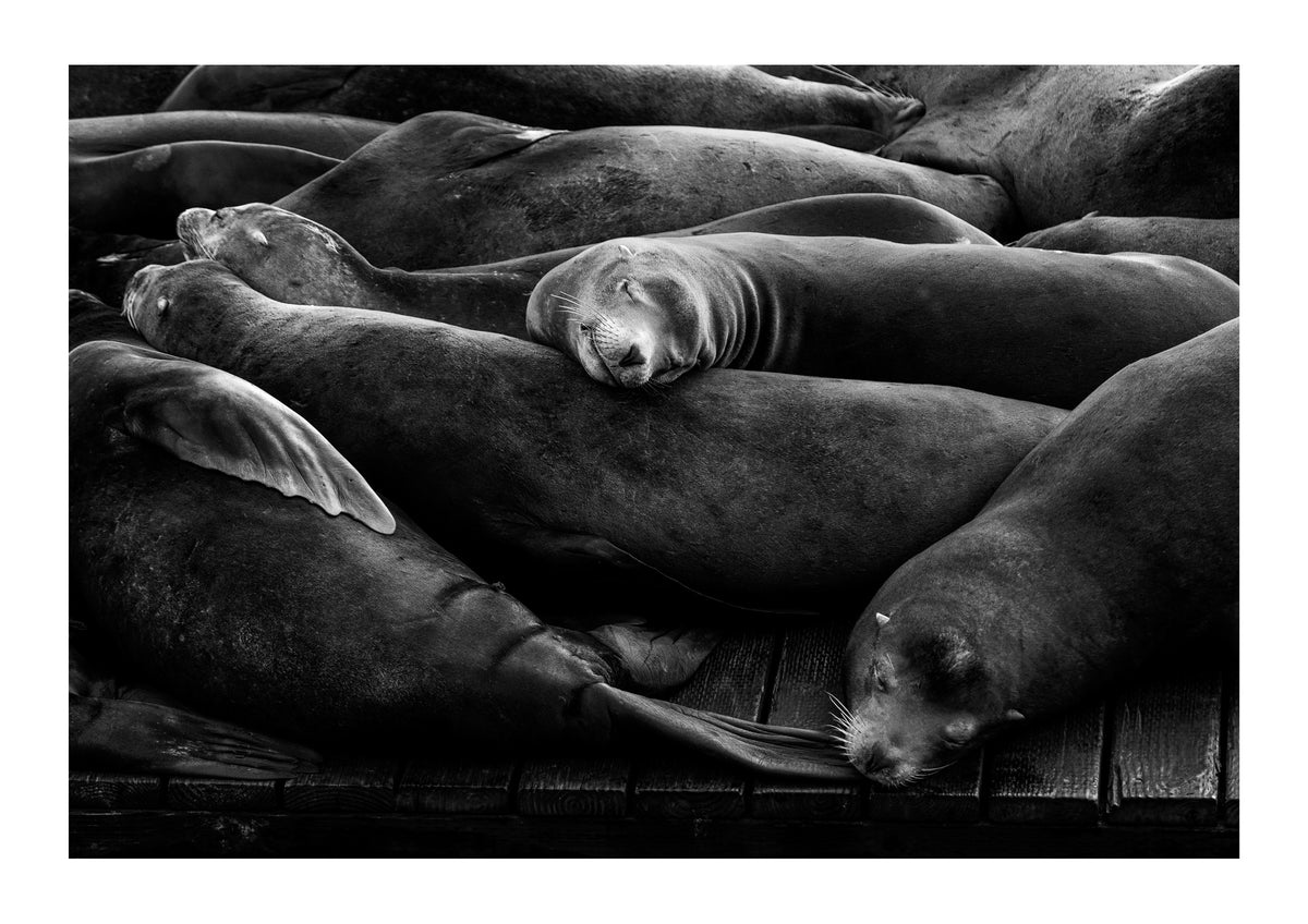 Sleeping Soundly