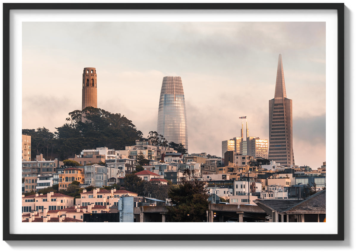 Bay Fog and the Towers