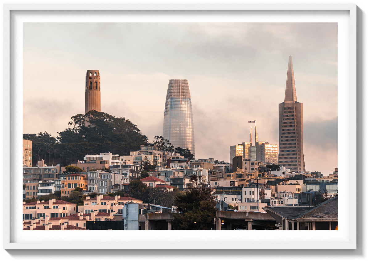 Bay Fog and the Towers