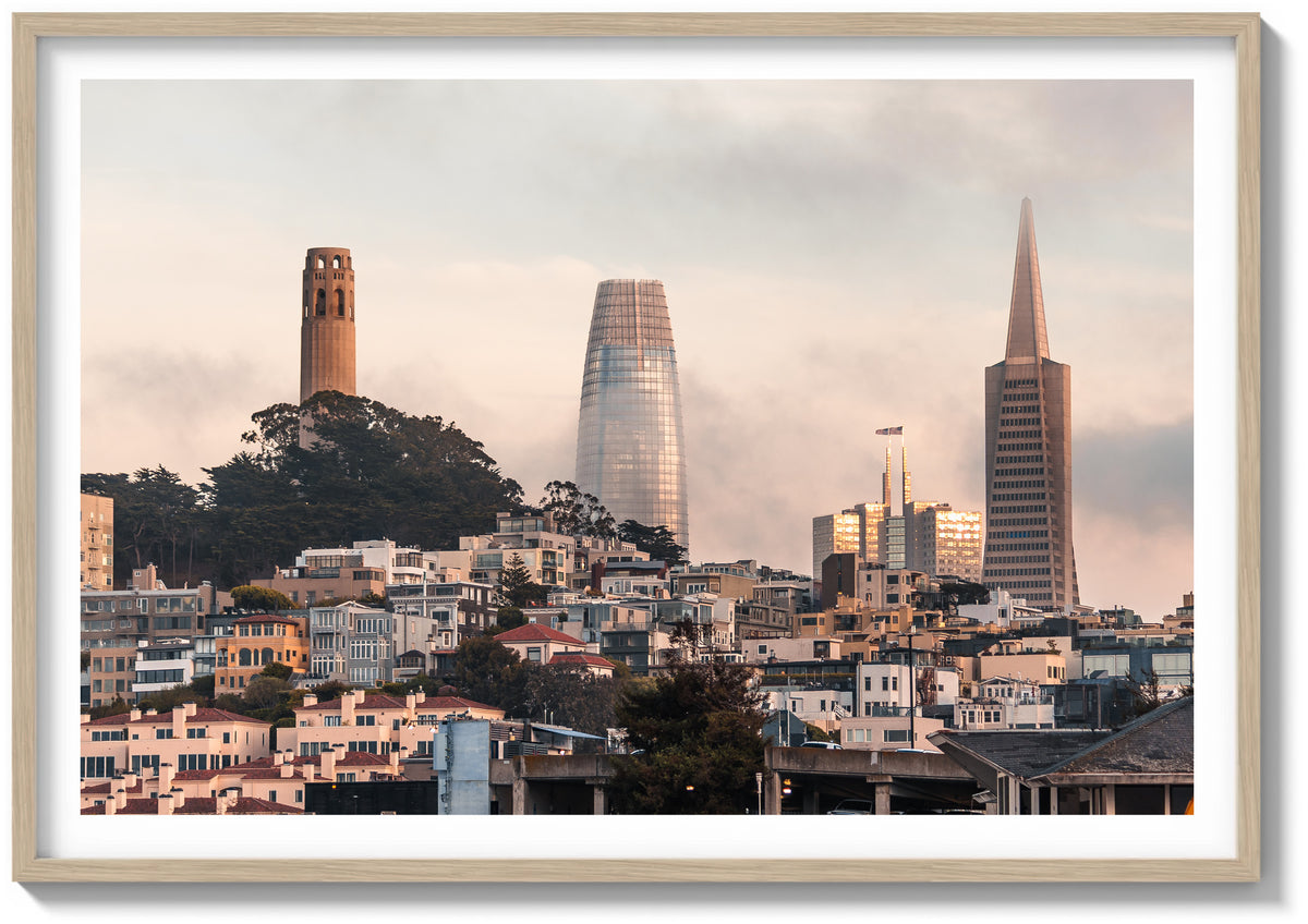 Bay Fog and the Towers
