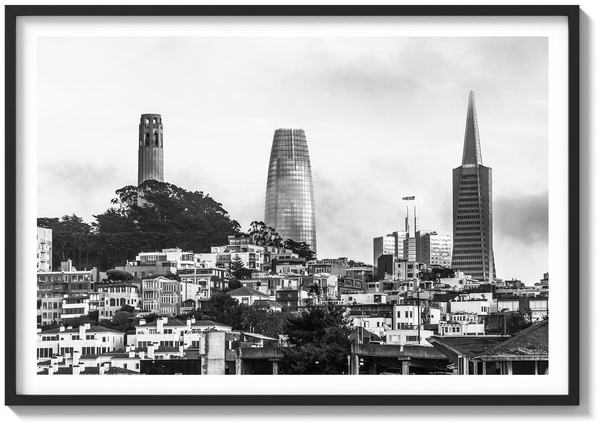 Bay Fog and the Towers