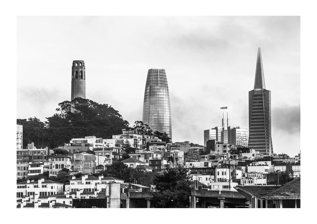Bay Fog and the Towers