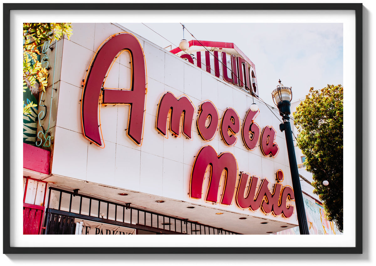 Amoeba Records