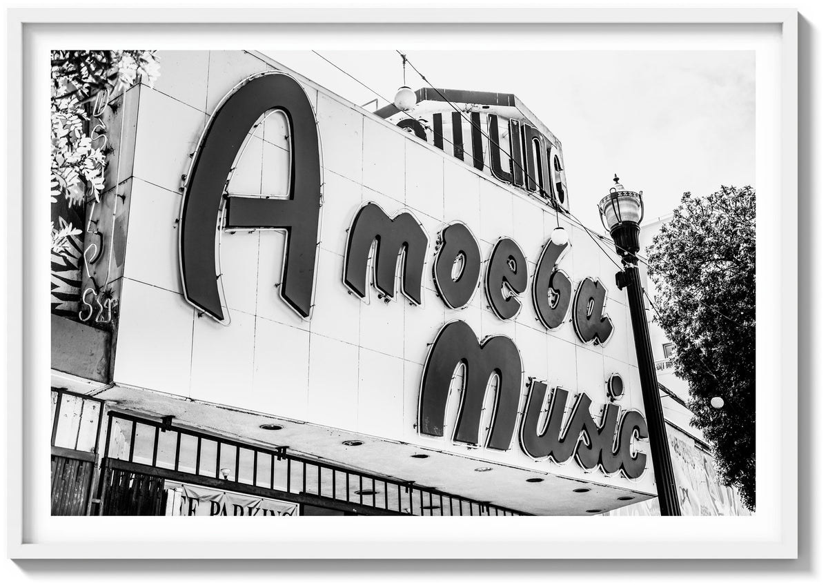 Amoeba Records