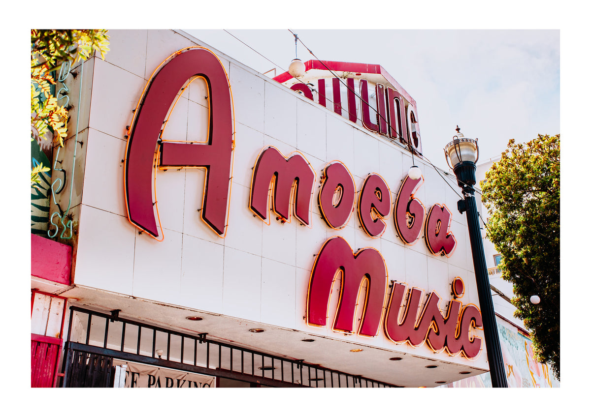Amoeba Records