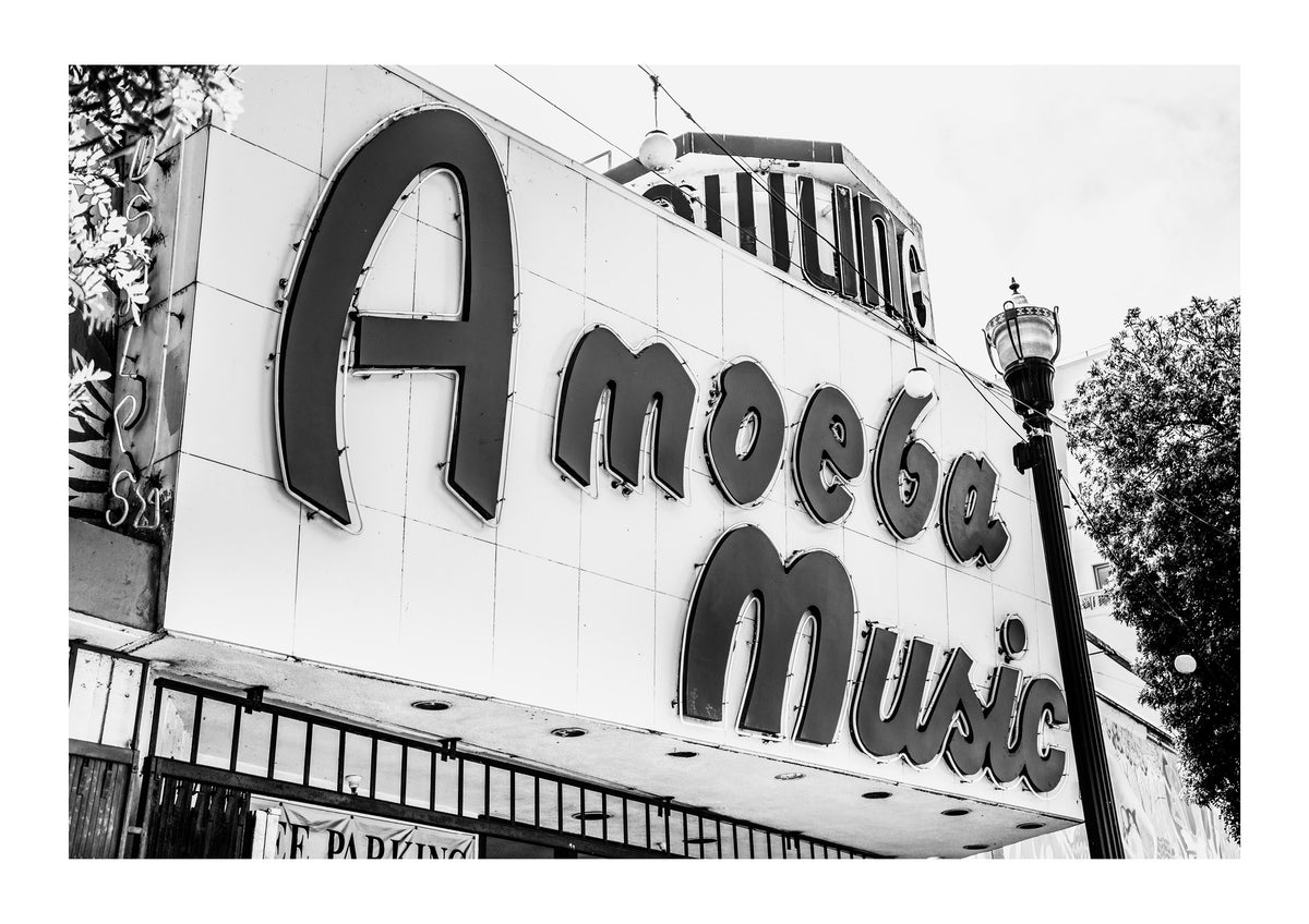 Amoeba Records