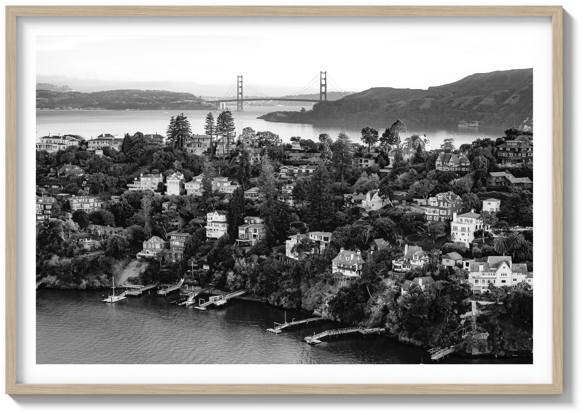 Tiburon