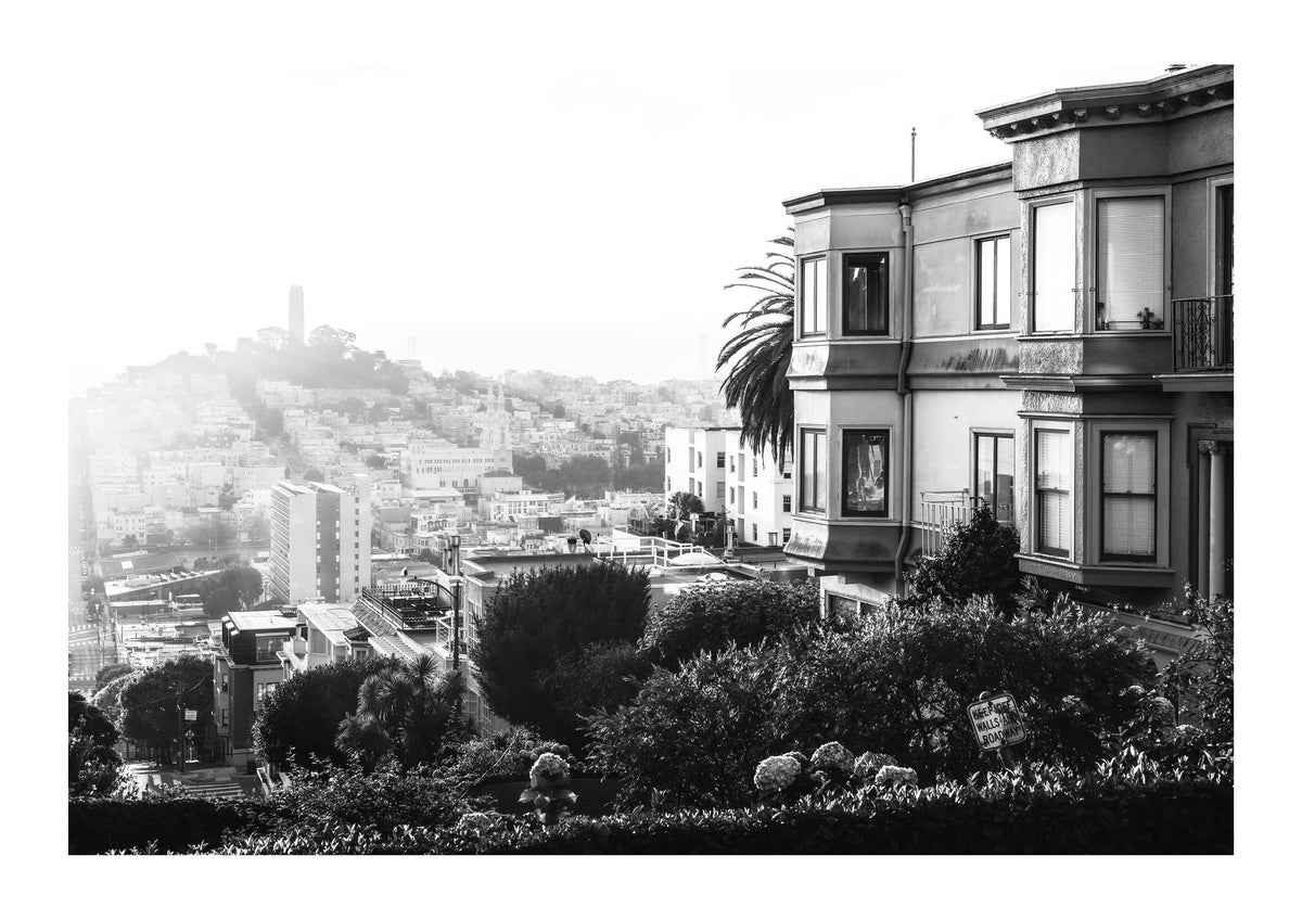 Morning Glow On Lombard St