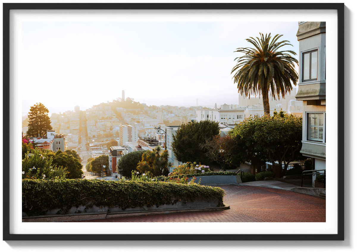 Lombard in Golden Light