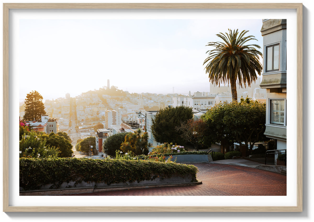 Lombard in Golden Light