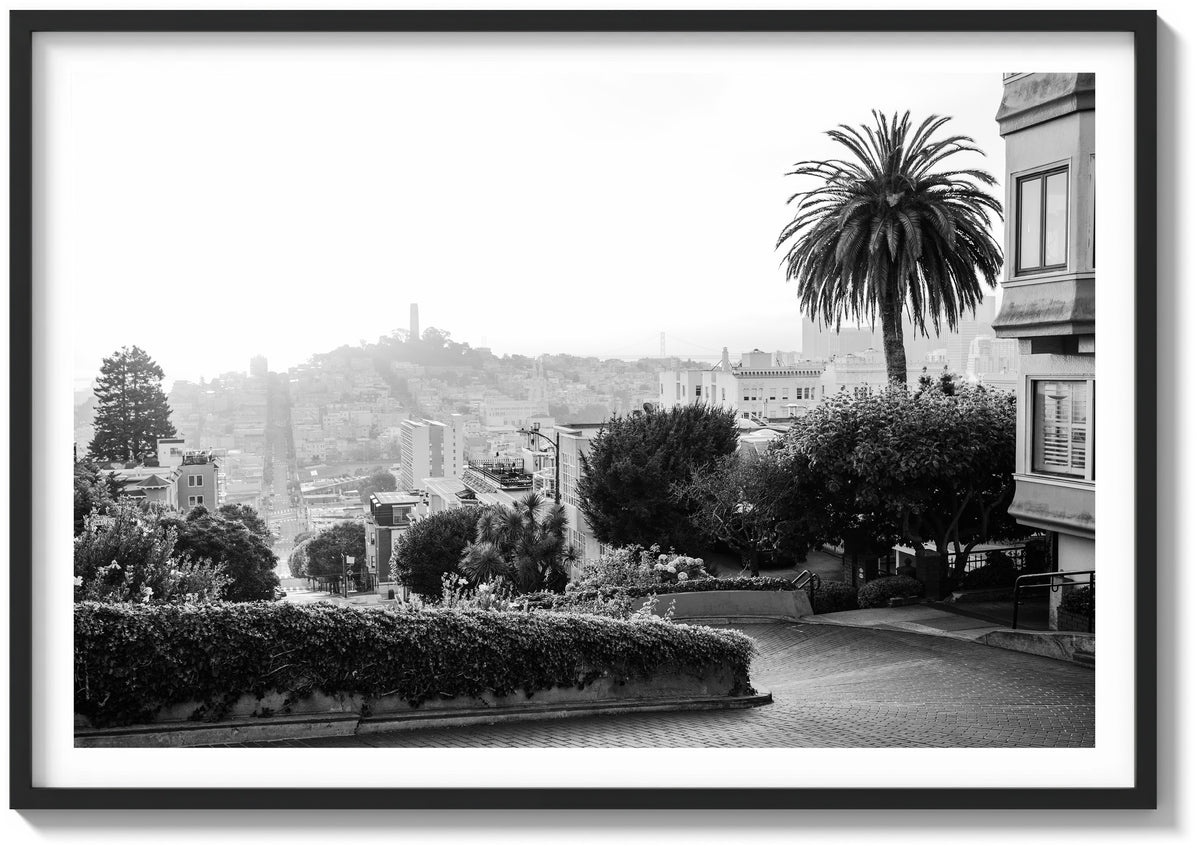 Lombard in Golden Light