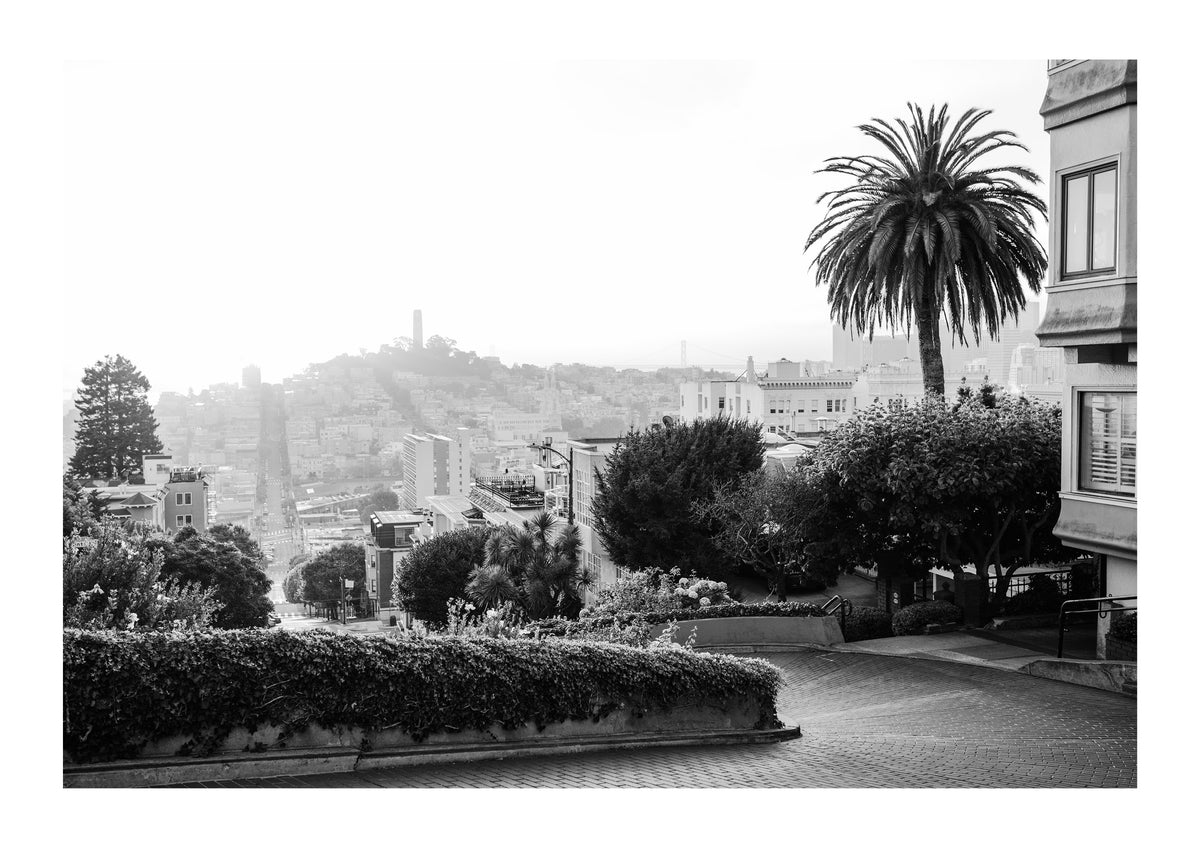 Lombard in Golden Light