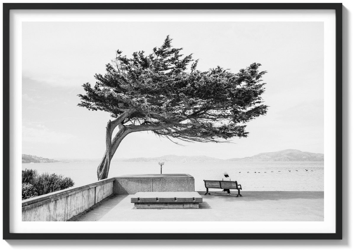 Quiet Moment on the Bay