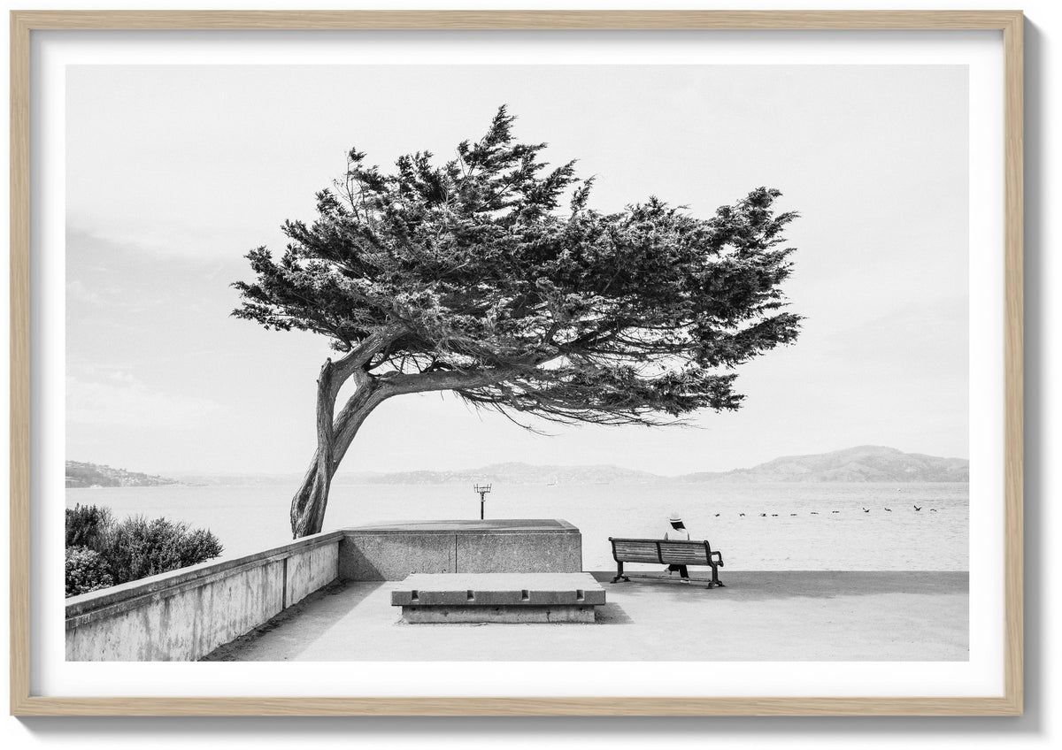 Quiet Moment on the Bay