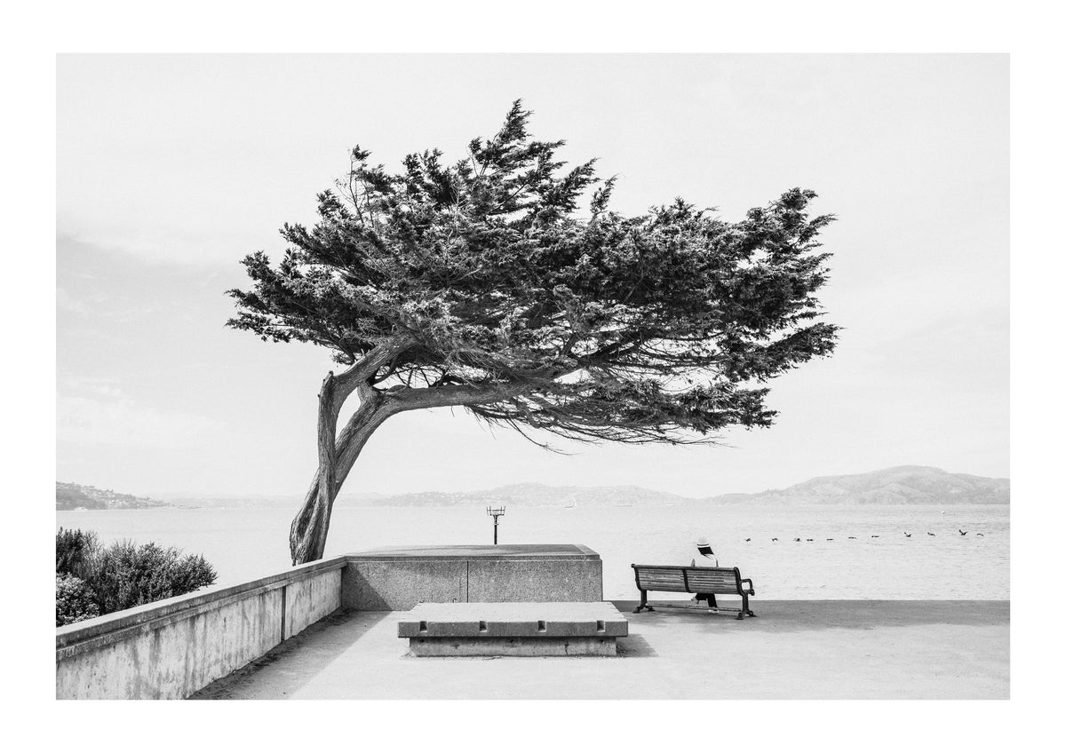 Quiet Moment on the Bay