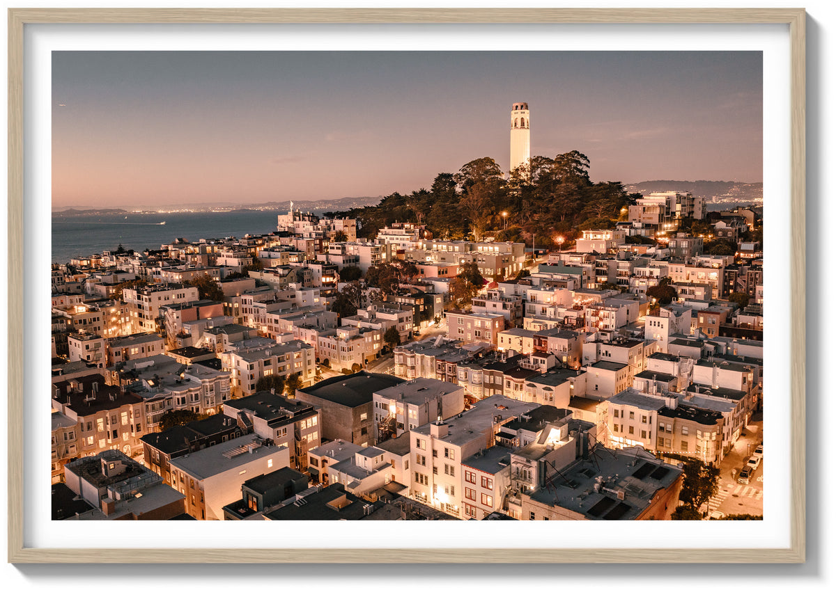 North Beach Illuminated