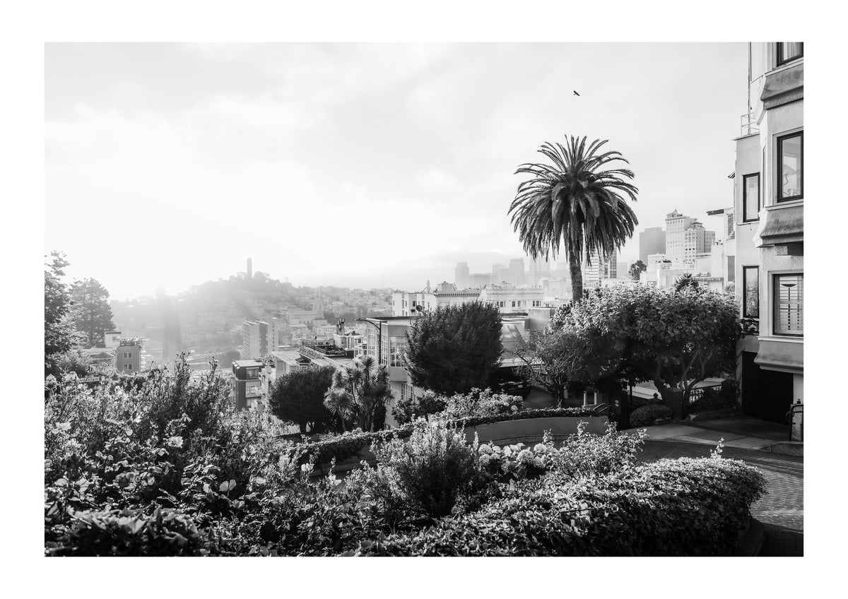 Springtime on Lombard Street