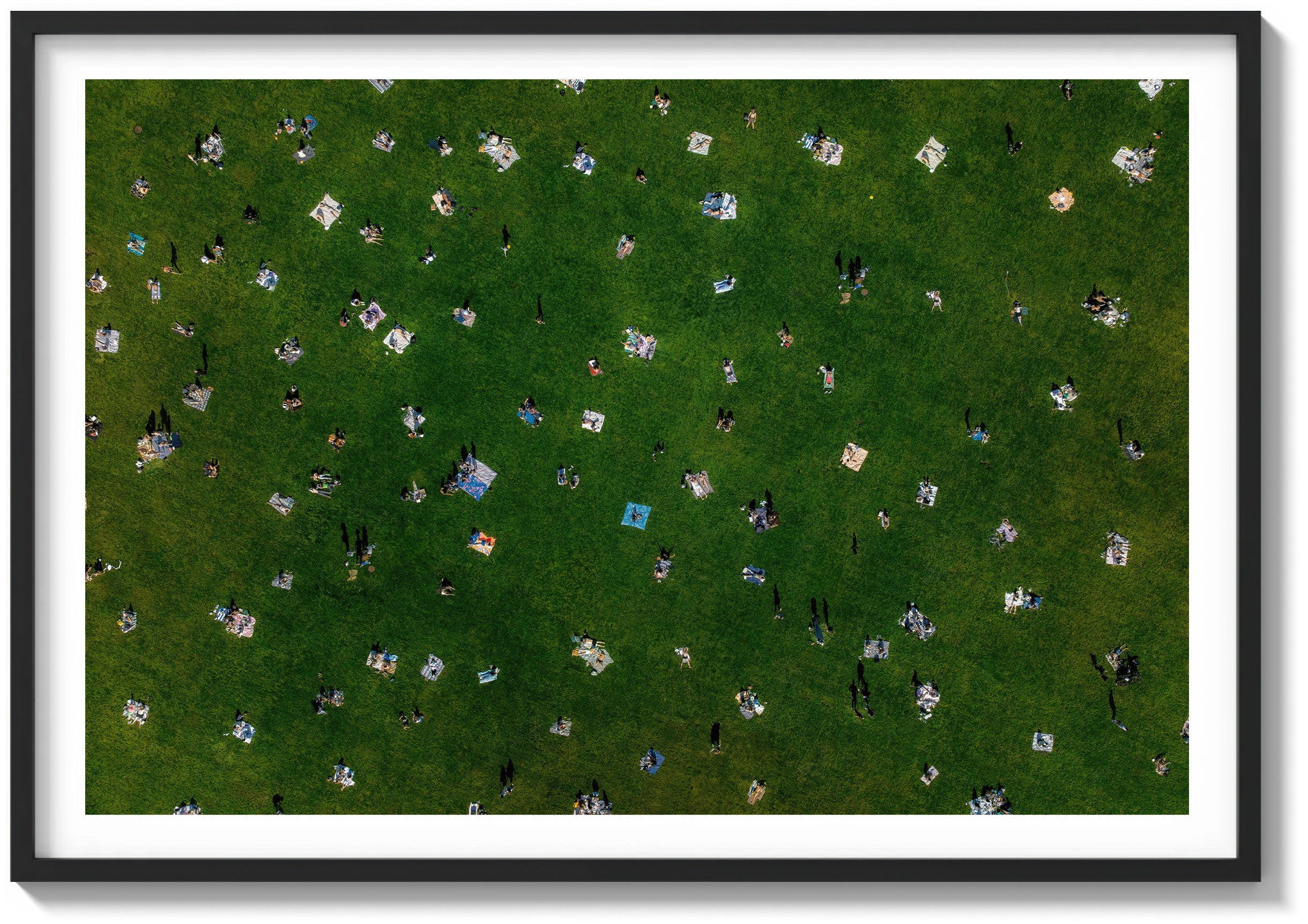 Sheep Meadow Sunbathers