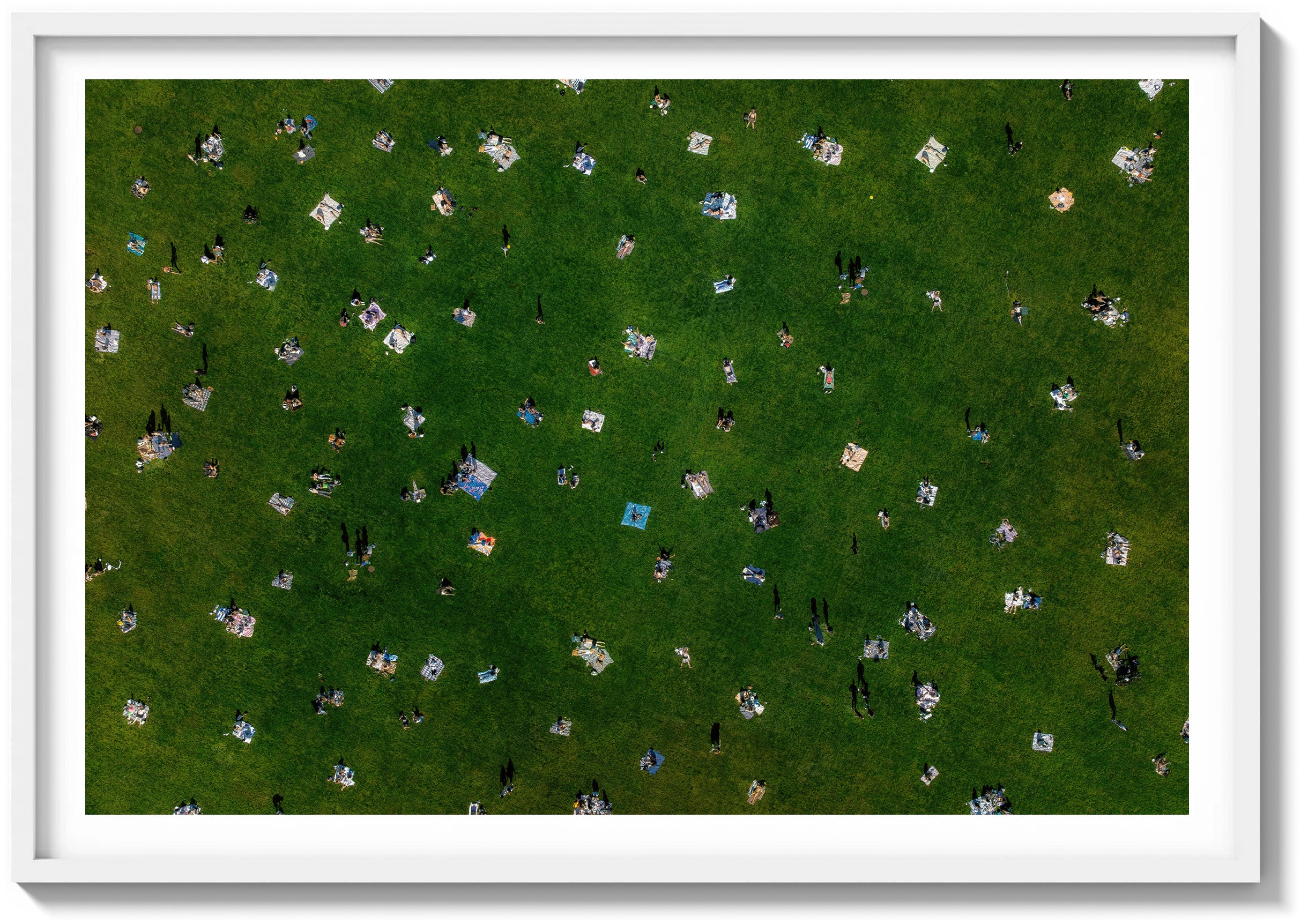 Sheep Meadow Sunbathers