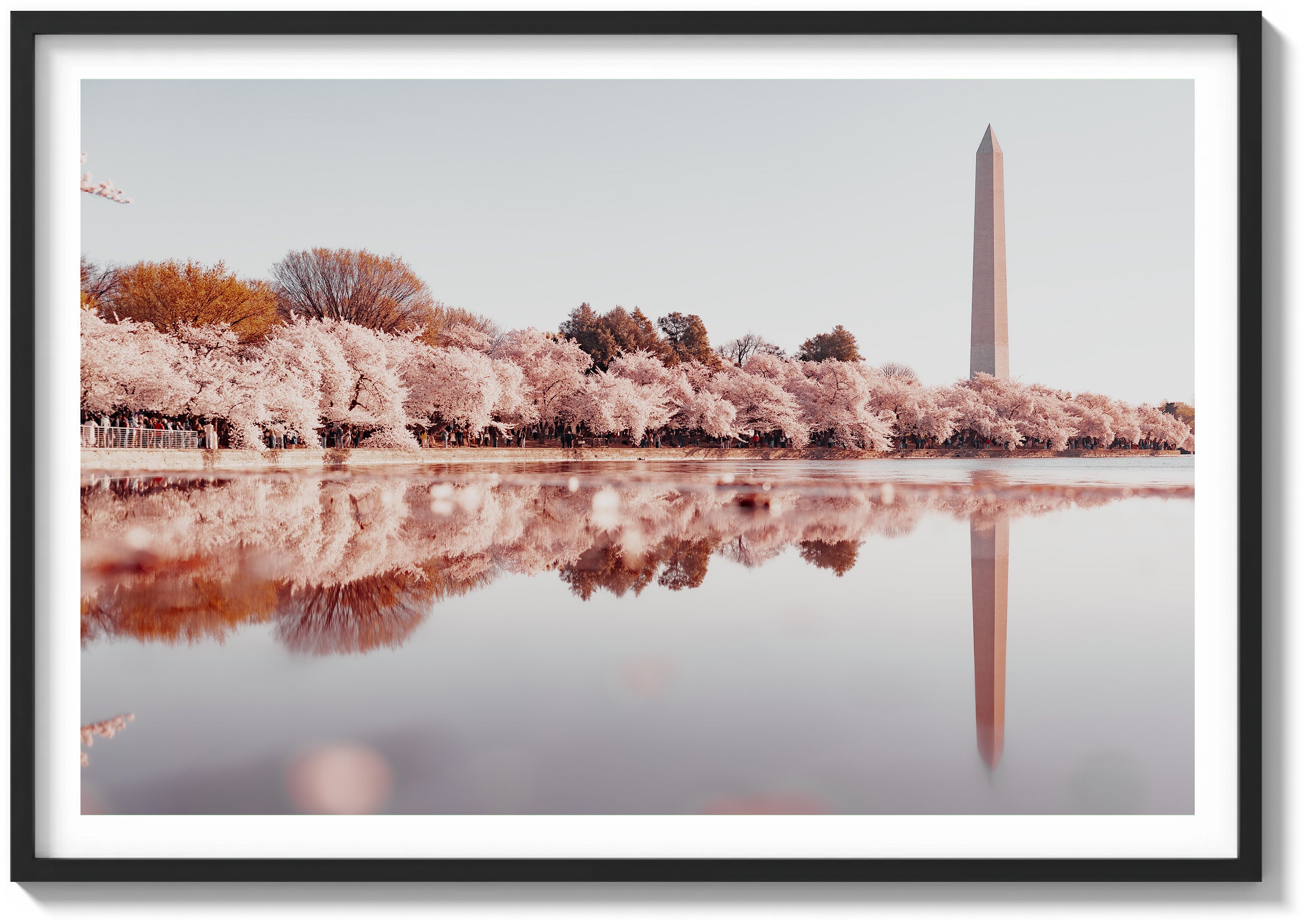 Monument Reflection