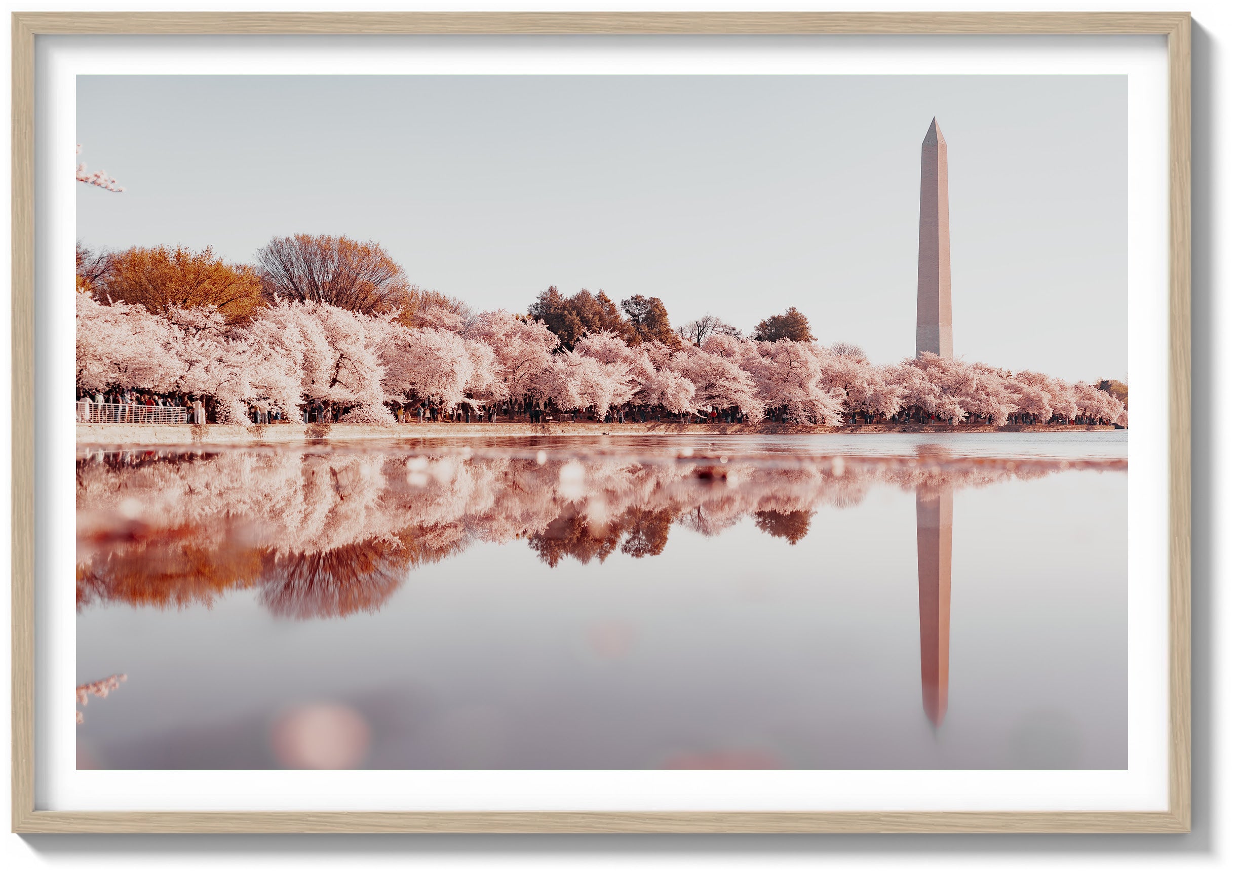 Monument Reflection
