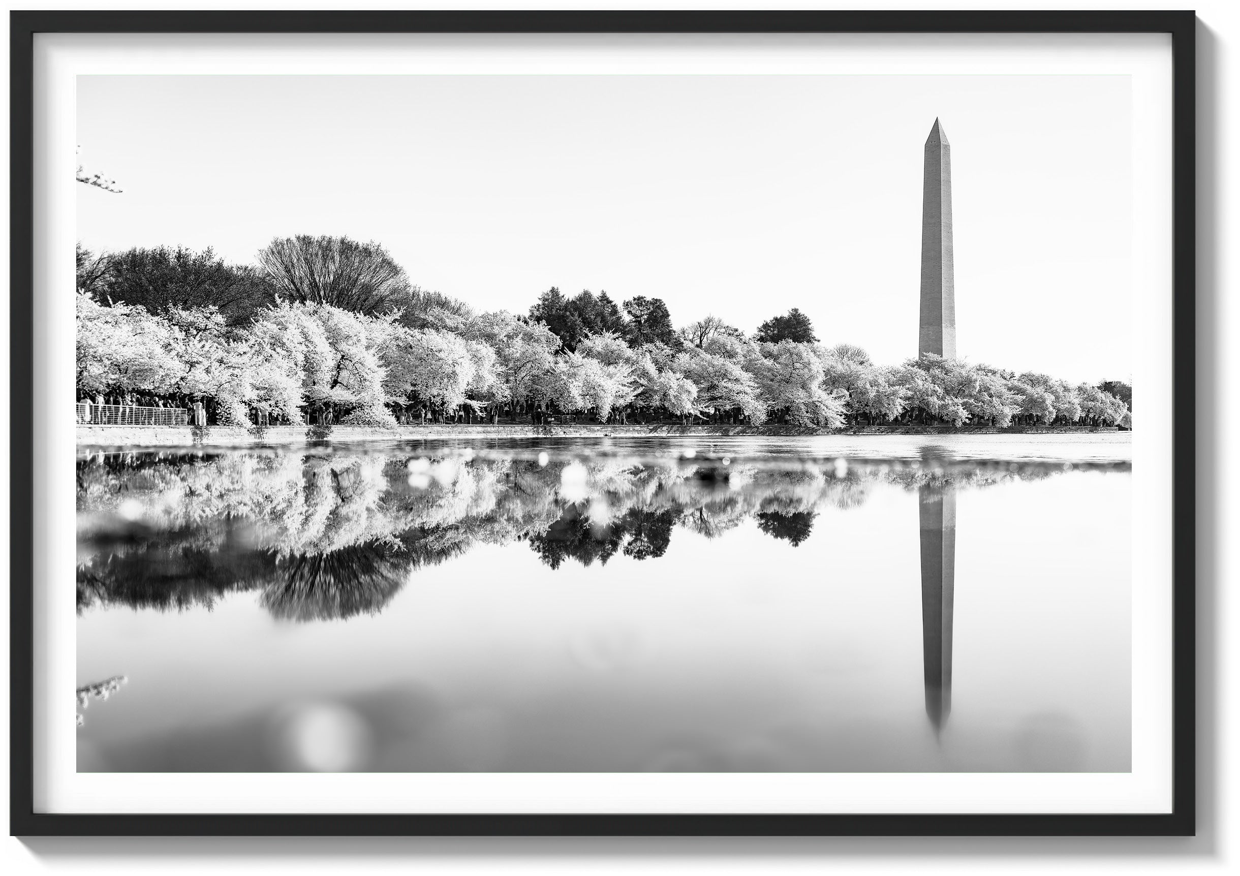 Monument Reflection