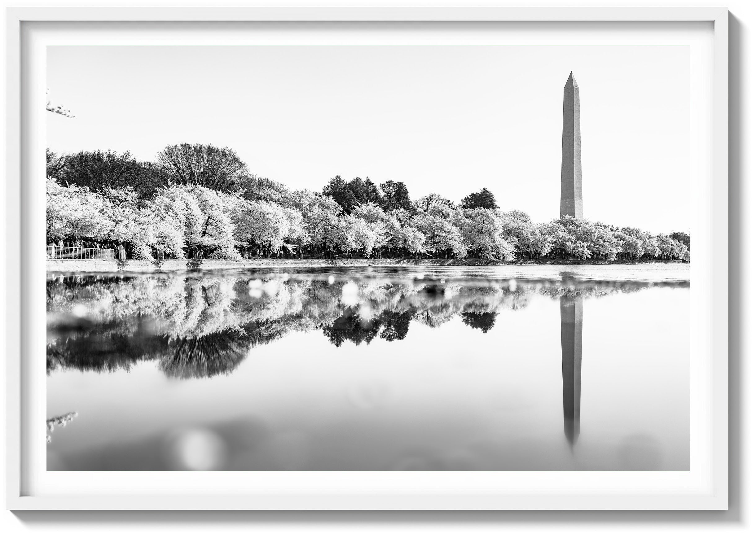 Monument Reflection