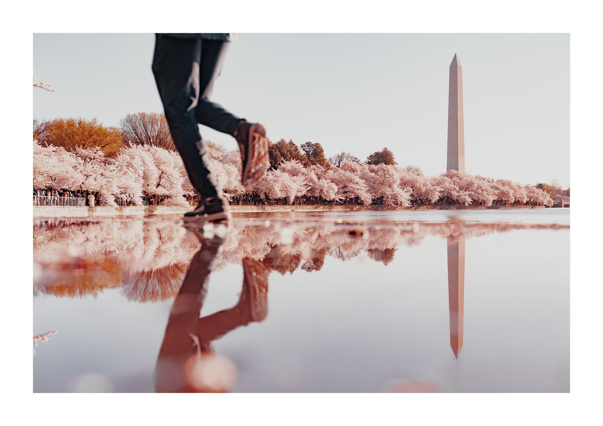 Roaming the Basin