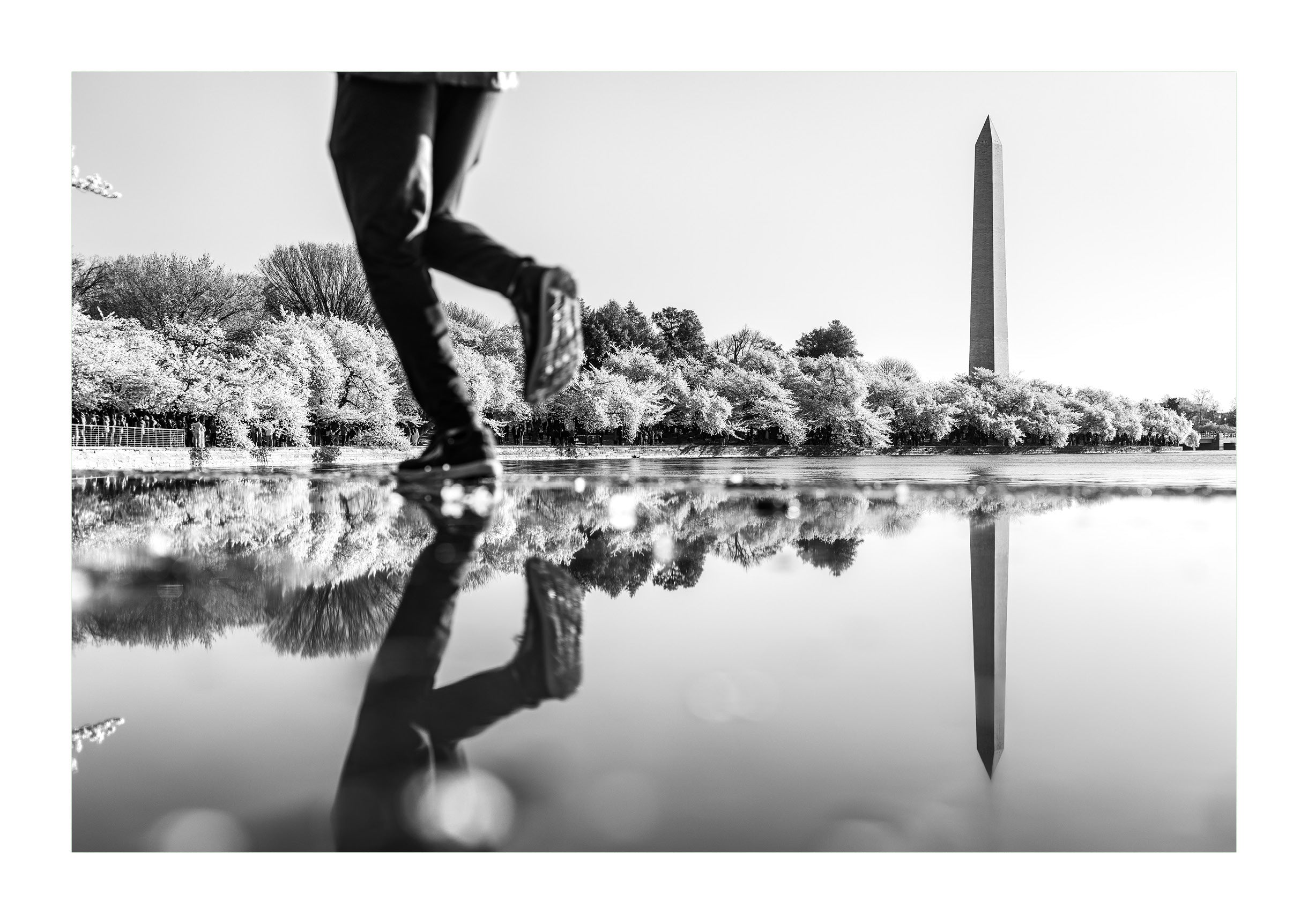 Roaming the Basin