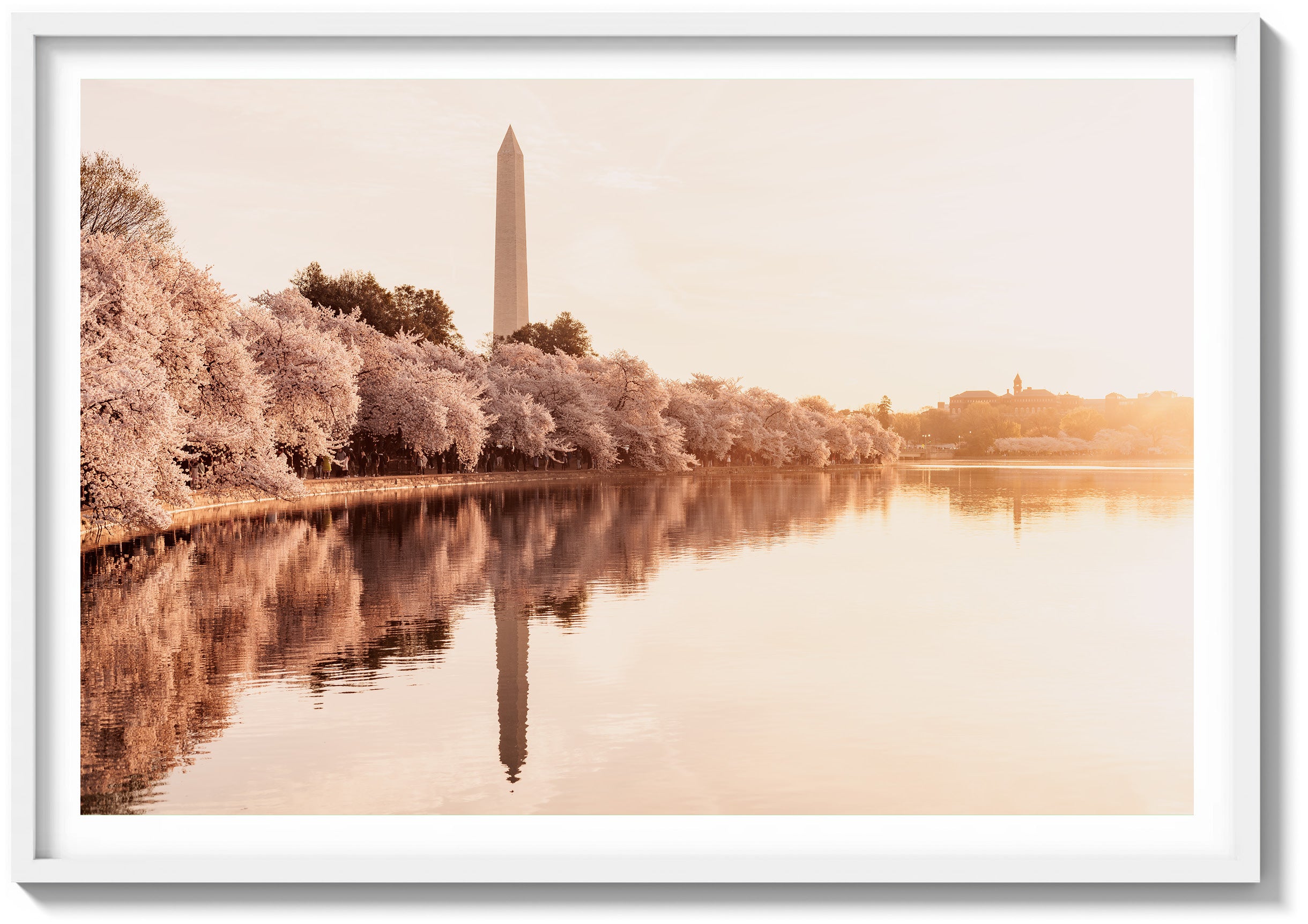 Dawn Reflections