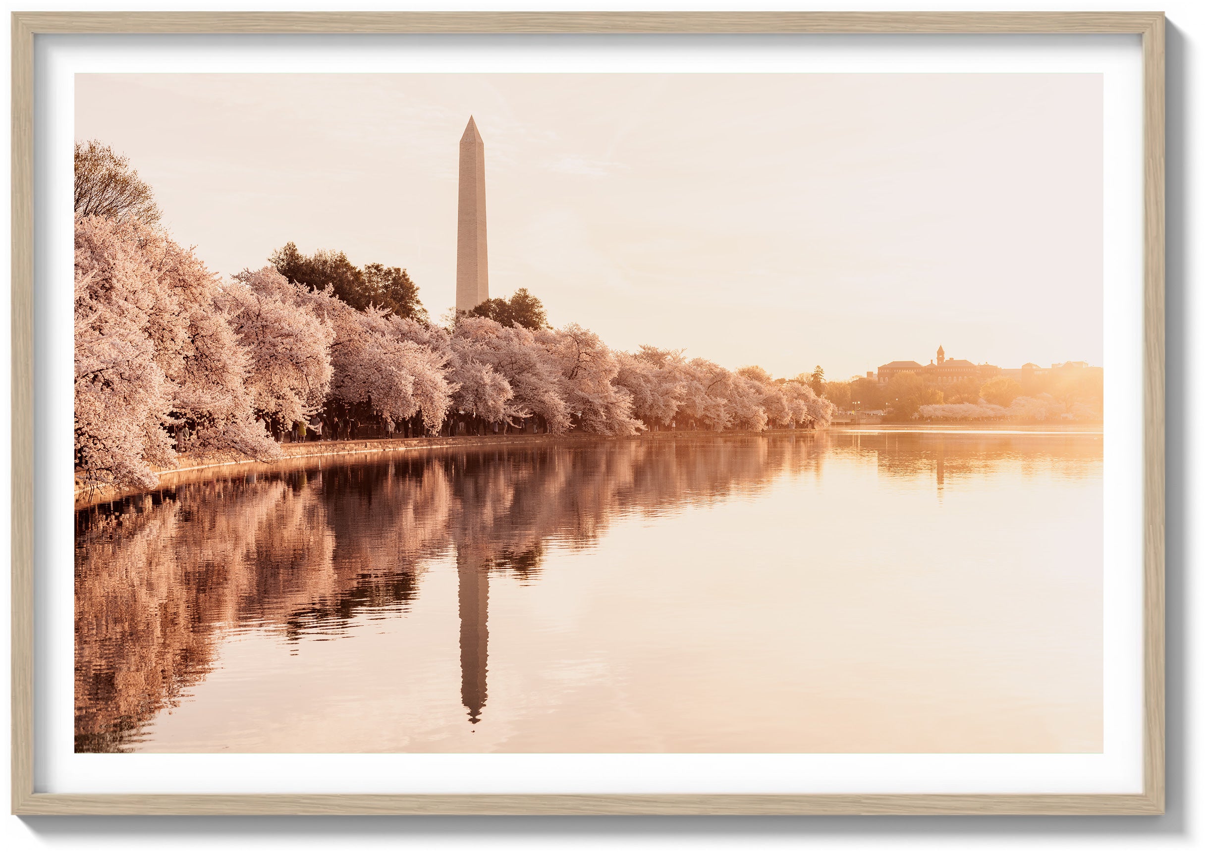Dawn Reflections