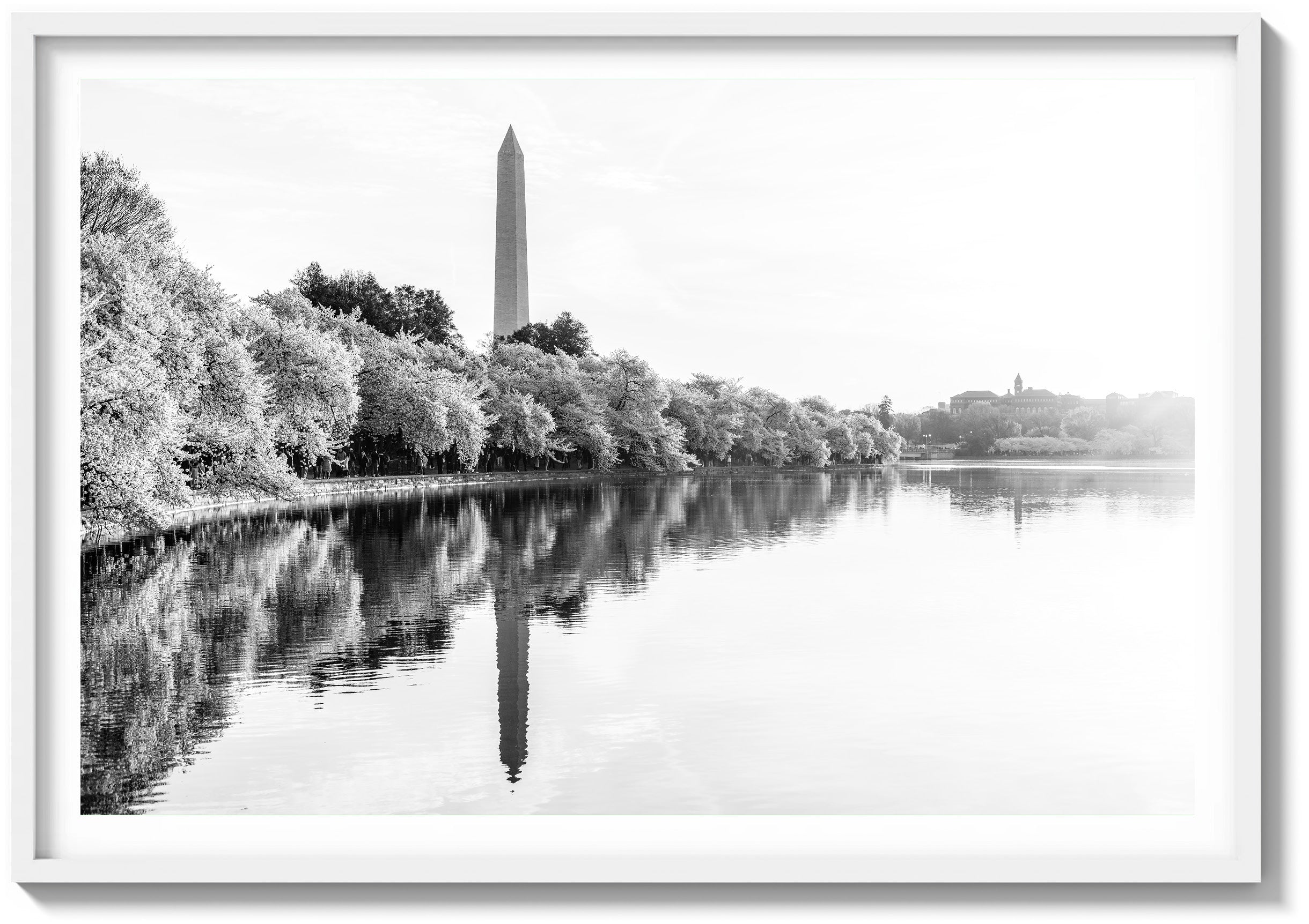 Dawn Reflections